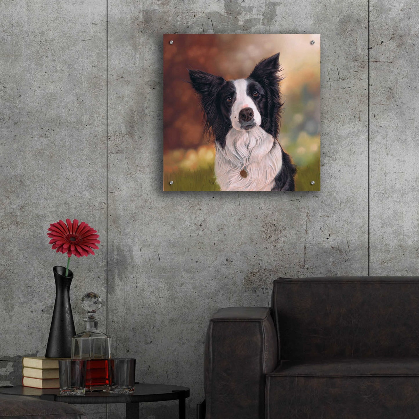 Epic Art 'Collie Perdy' by Karie-Ann Cooper, Acrylic Glass Wall Art,24x24