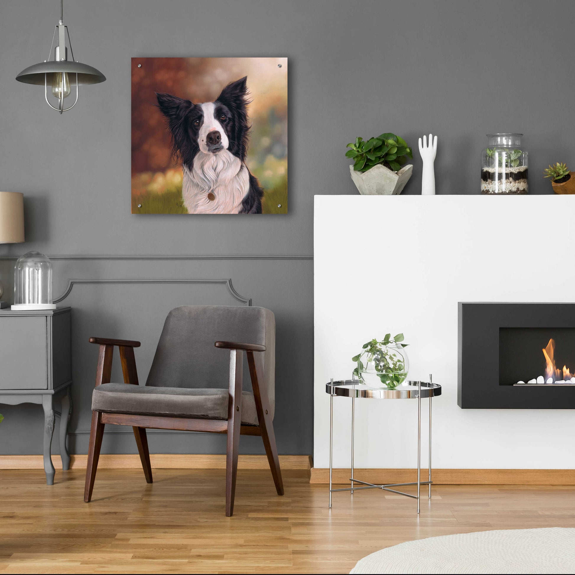 Epic Art 'Collie Perdy' by Karie-Ann Cooper, Acrylic Glass Wall Art,24x24