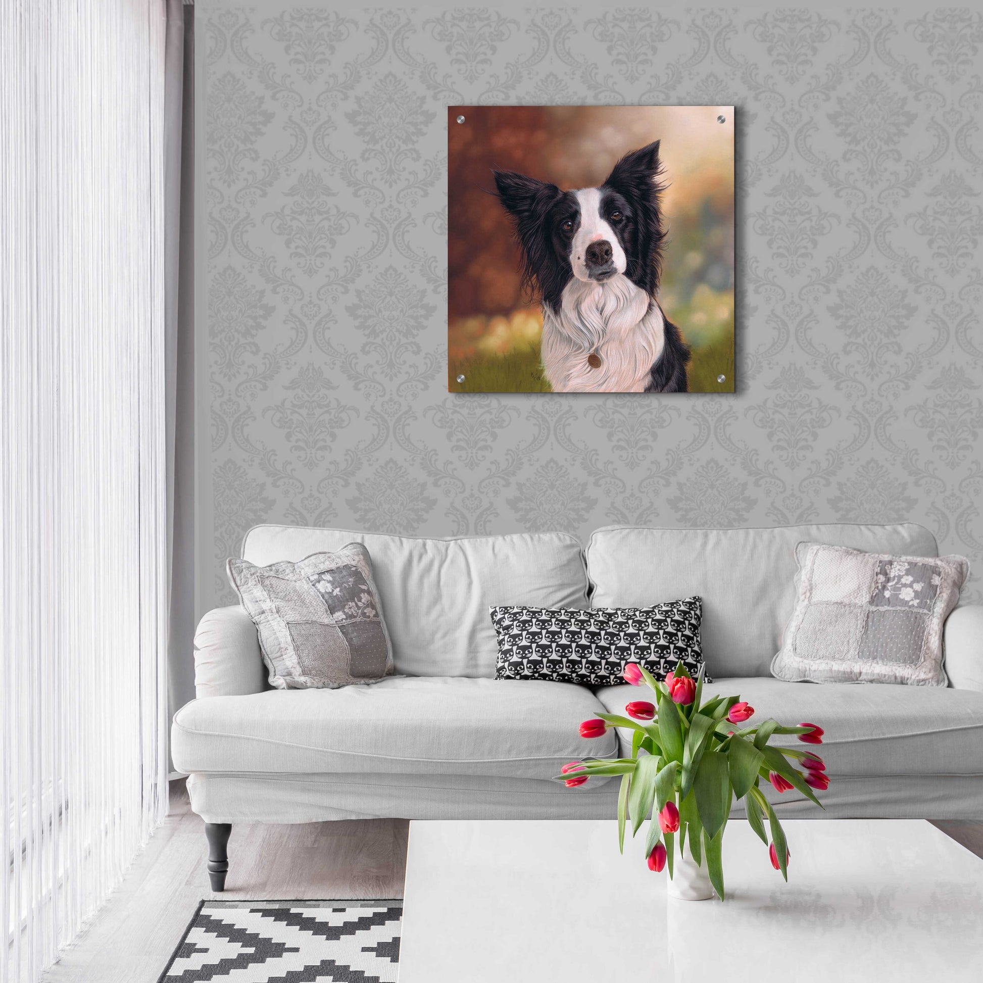 Epic Art 'Collie Perdy' by Karie-Ann Cooper, Acrylic Glass Wall Art,24x24