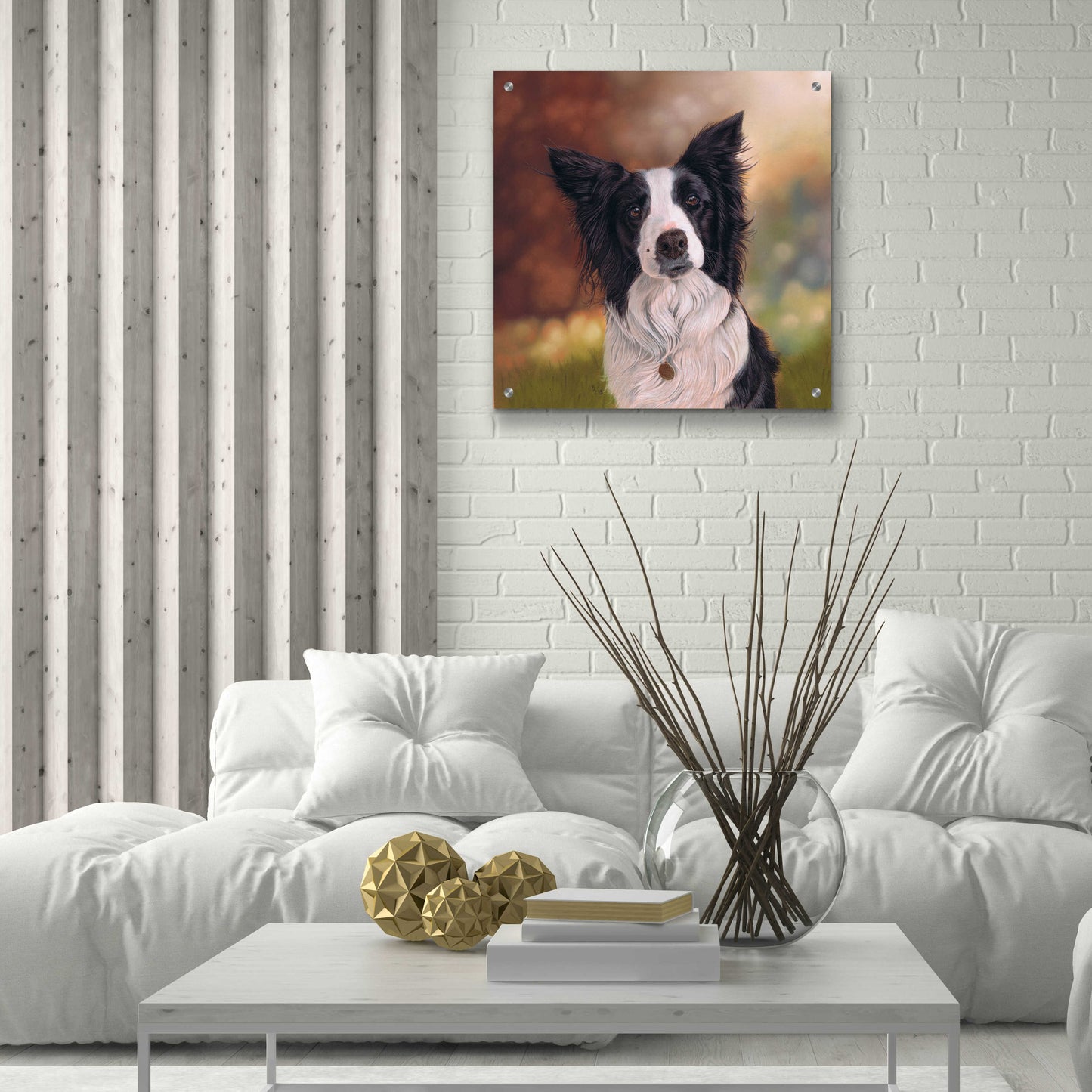 Epic Art 'Collie Perdy' by Karie-Ann Cooper, Acrylic Glass Wall Art,24x24