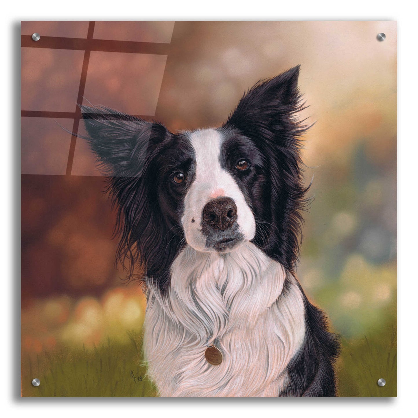 Epic Art 'Collie Perdy' by Karie-Ann Cooper, Acrylic Glass Wall Art,24x24