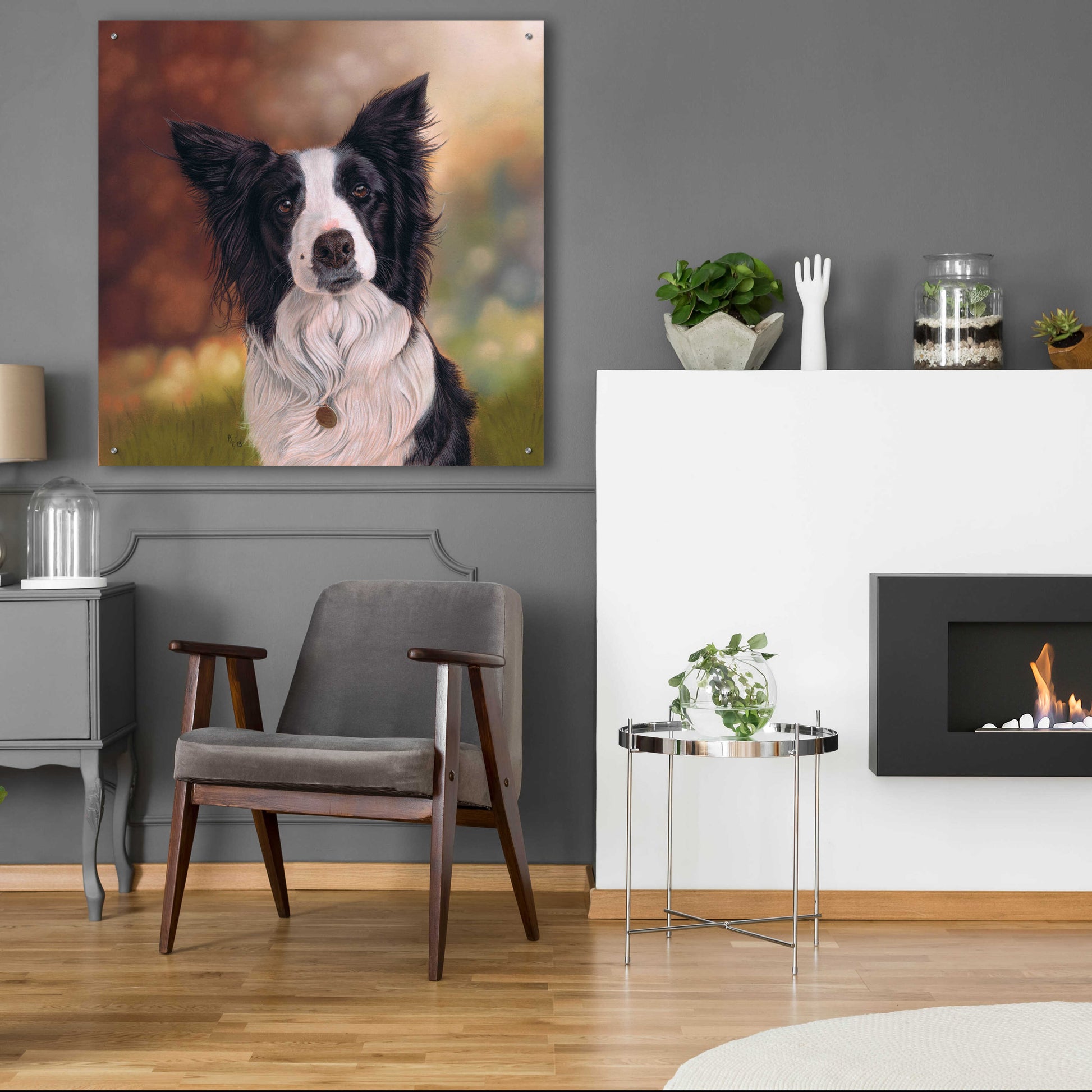 Epic Art 'Collie Perdy' by Karie-Ann Cooper, Acrylic Glass Wall Art,36x36