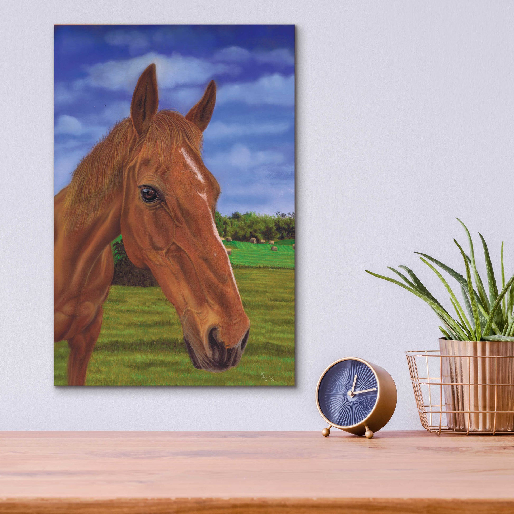 Epic Art 'Field Horse' by Karie-Ann Cooper, Acrylic Glass Wall Art,12x16