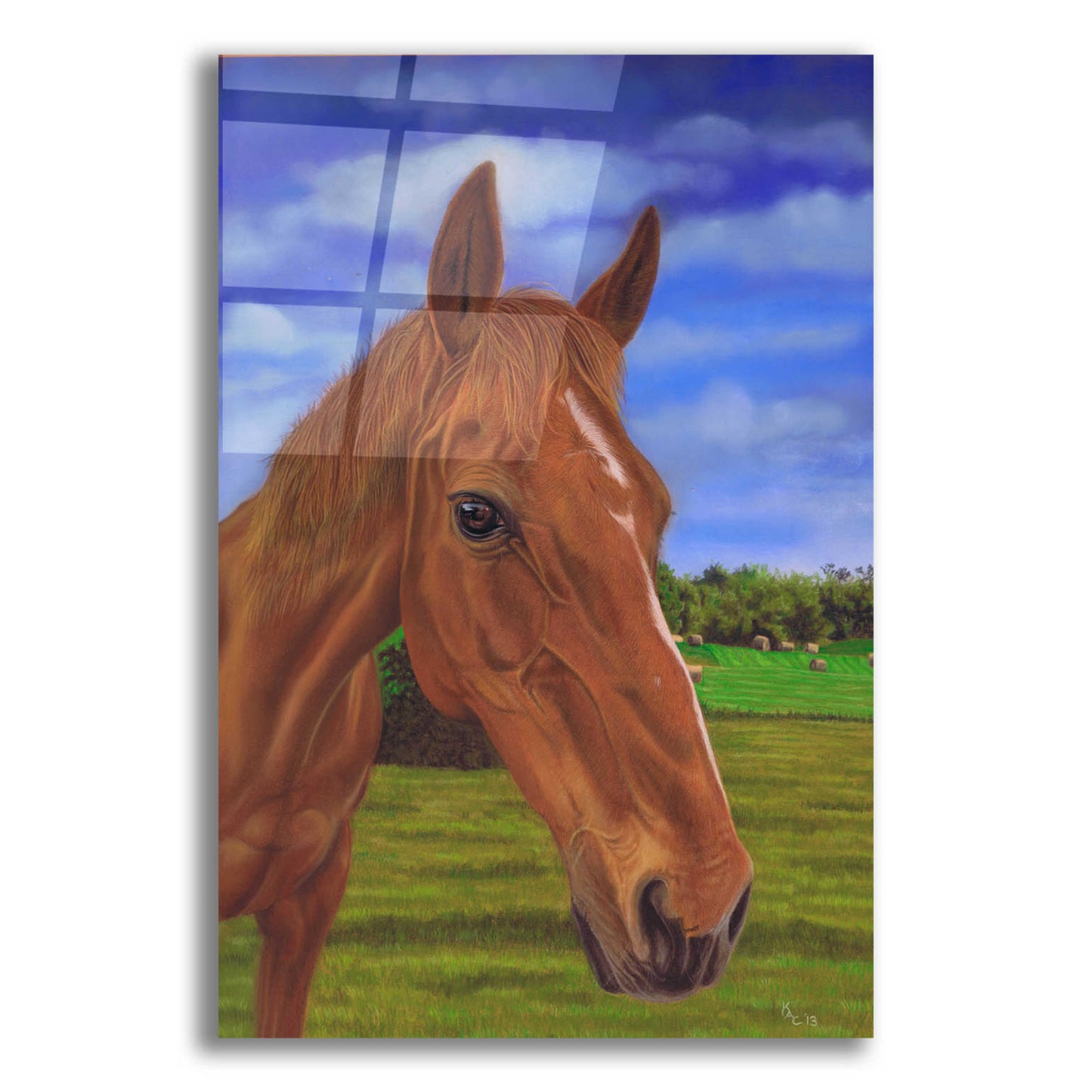 Epic Art 'Field Horse' by Karie-Ann Cooper, Acrylic Glass Wall Art,12x16