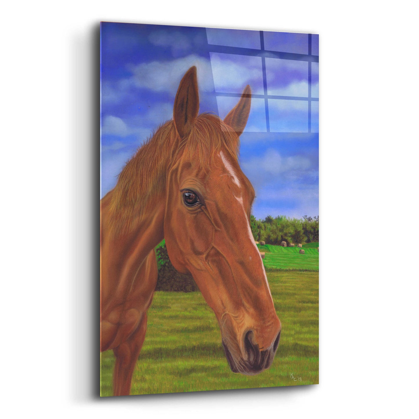 Epic Art 'Field Horse' by Karie-Ann Cooper, Acrylic Glass Wall Art,16x24