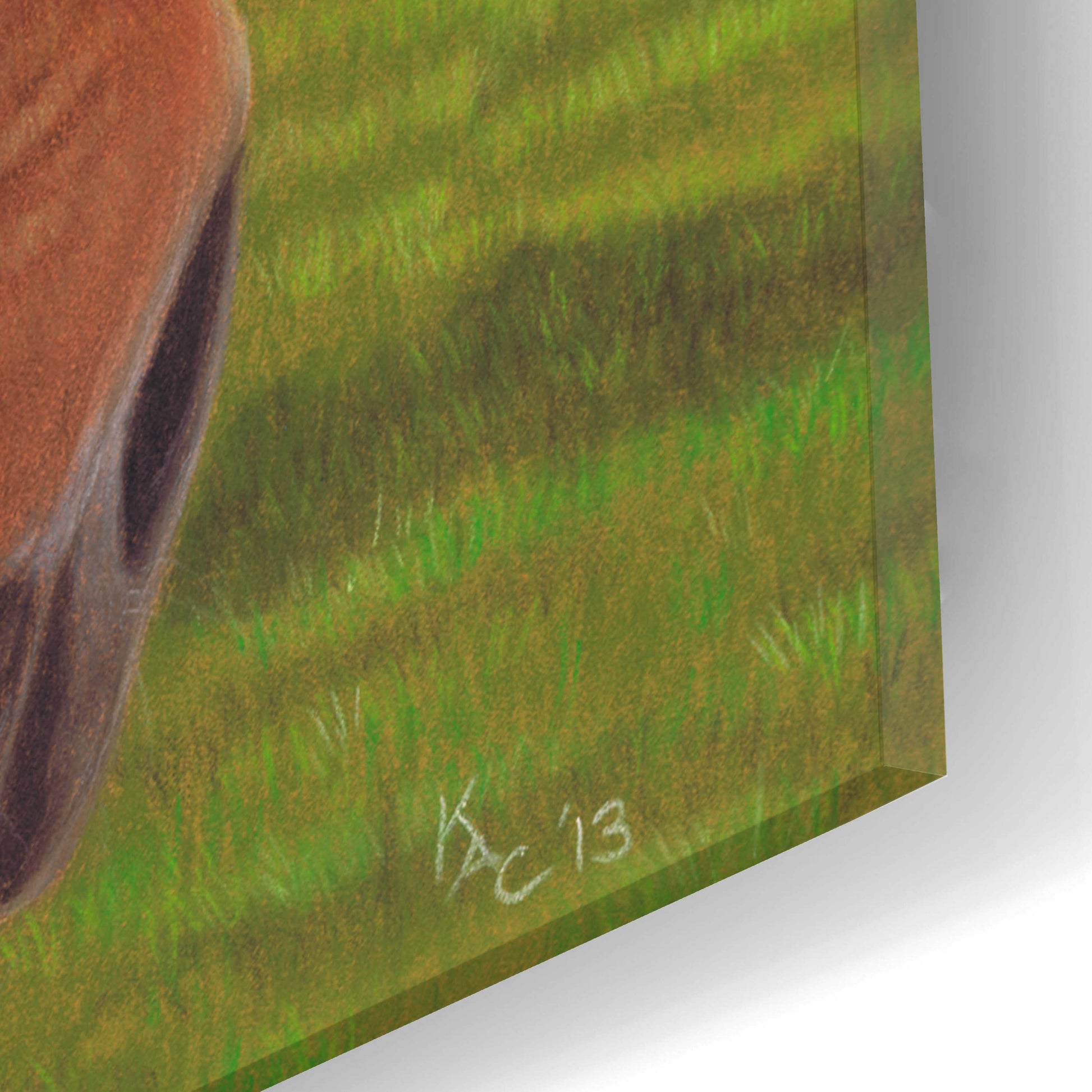 Epic Art 'Field Horse' by Karie-Ann Cooper, Acrylic Glass Wall Art,16x24