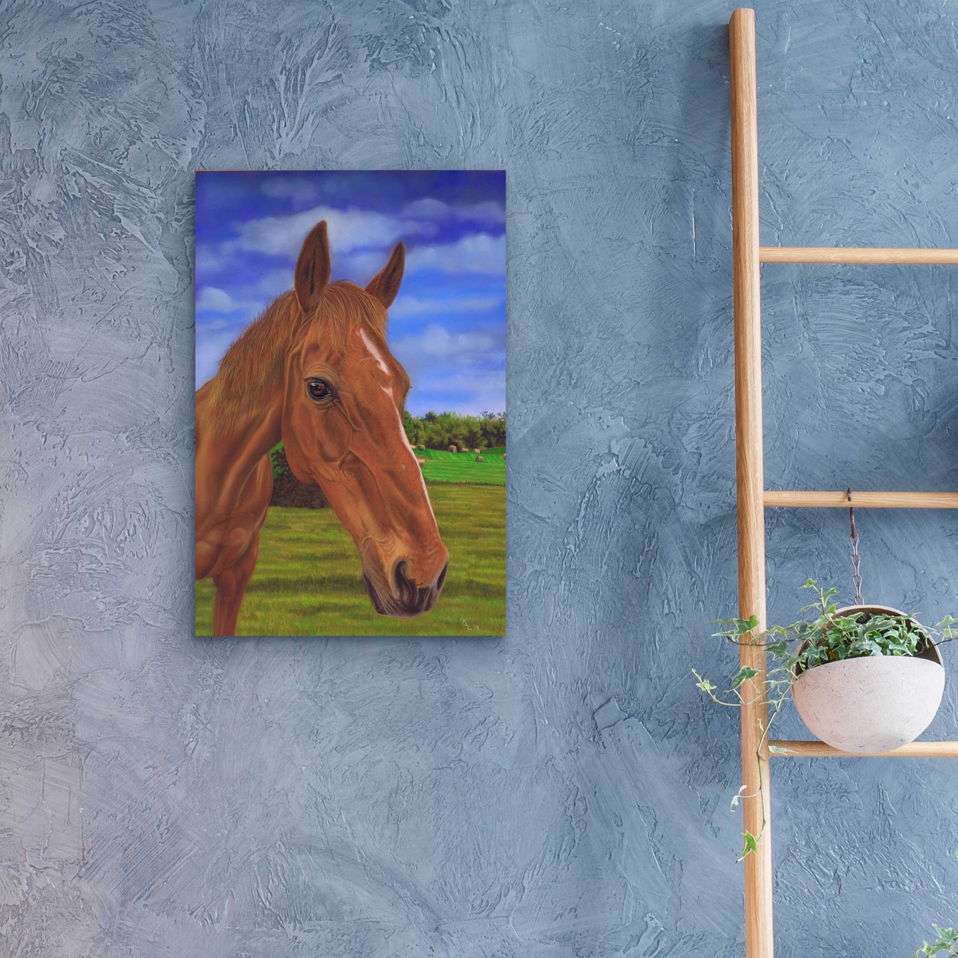 Epic Art 'Field Horse' by Karie-Ann Cooper, Acrylic Glass Wall Art,16x24