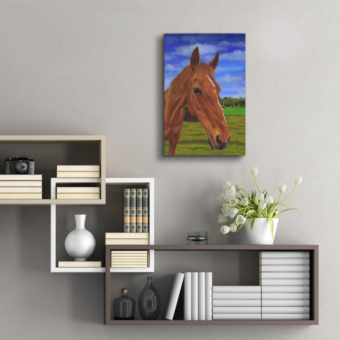 Epic Art 'Field Horse' by Karie-Ann Cooper, Acrylic Glass Wall Art,16x24