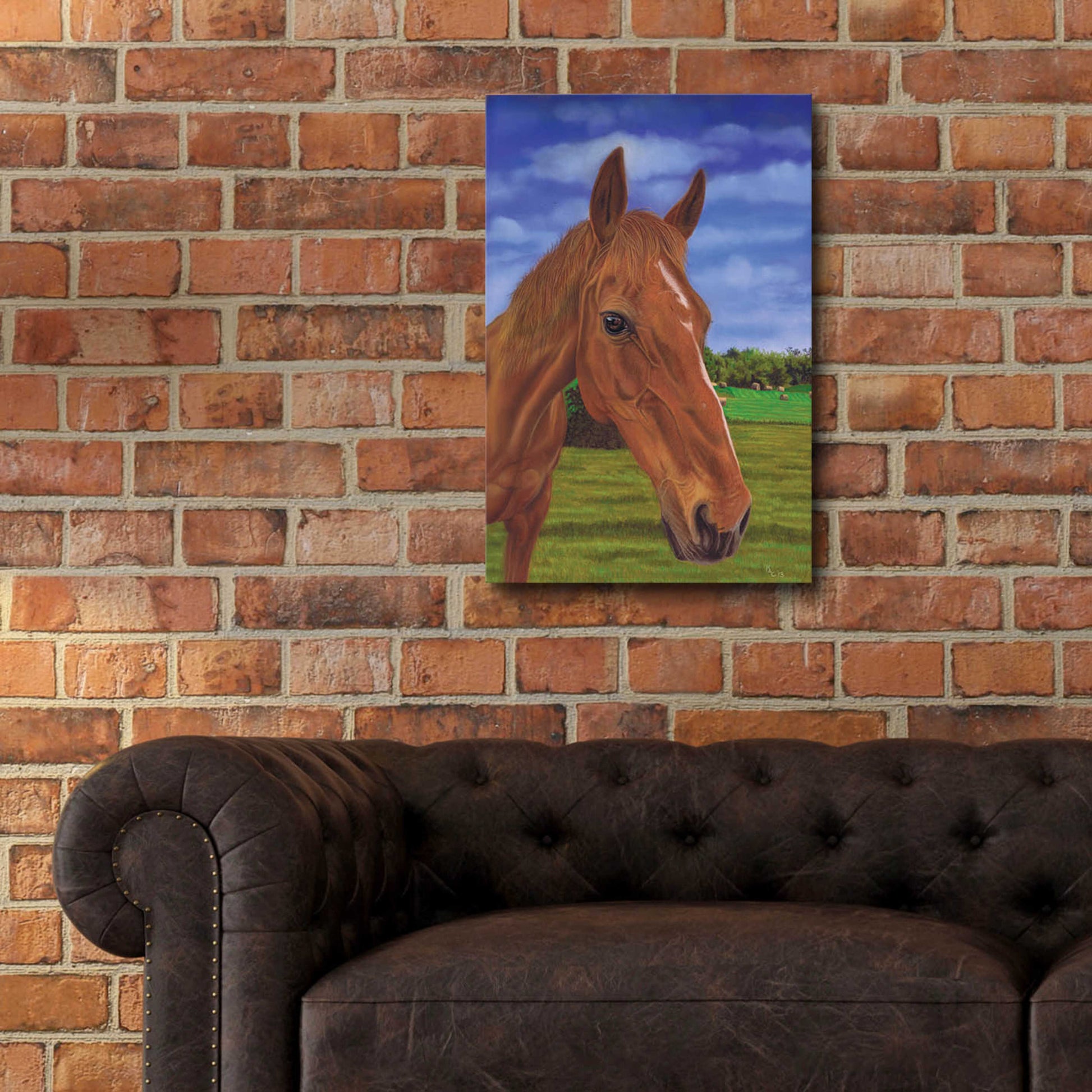 Epic Art 'Field Horse' by Karie-Ann Cooper, Acrylic Glass Wall Art,16x24