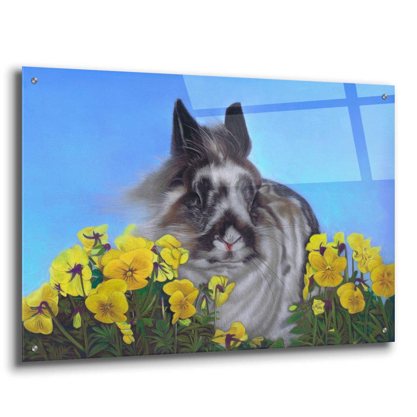 Epic Art 'Flower Power Bunny' by Karie-Ann Cooper, Acrylic Glass Wall Art,36x24