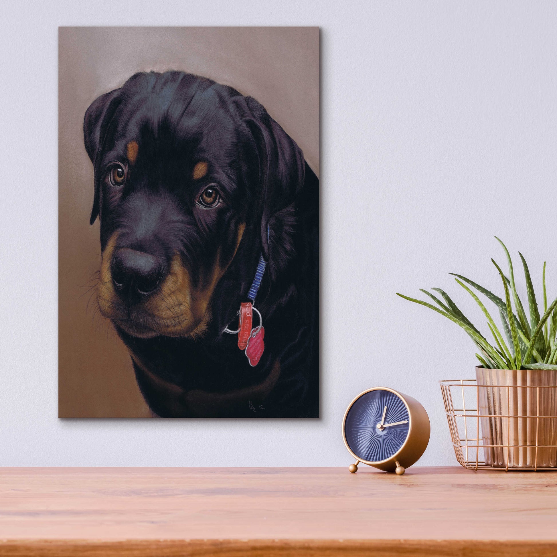 Epic Art 'Rottweiler Solo' by Karie-Ann Cooper, Acrylic Glass Wall Art,12x16