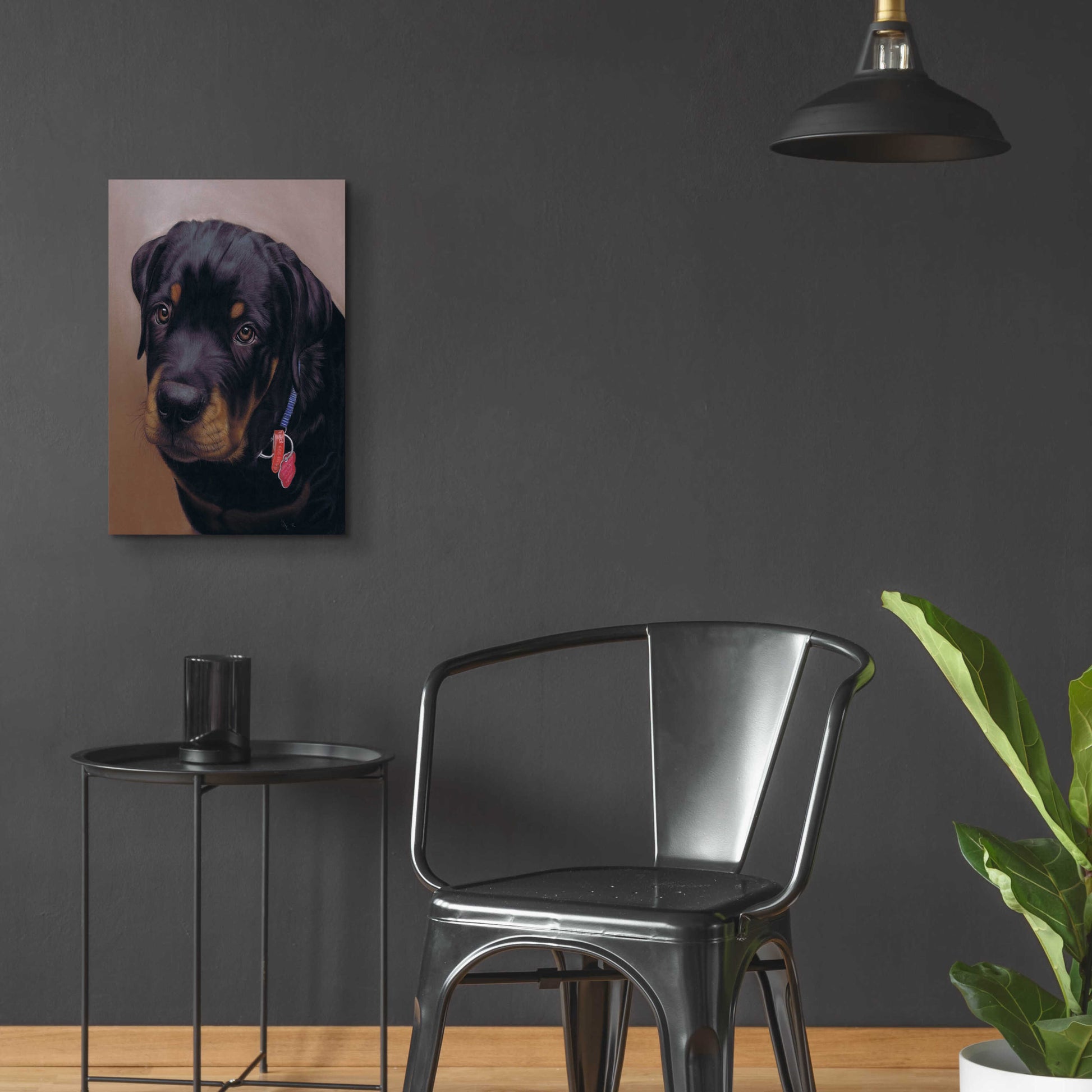 Epic Art 'Rottweiler Solo' by Karie-Ann Cooper, Acrylic Glass Wall Art,16x24