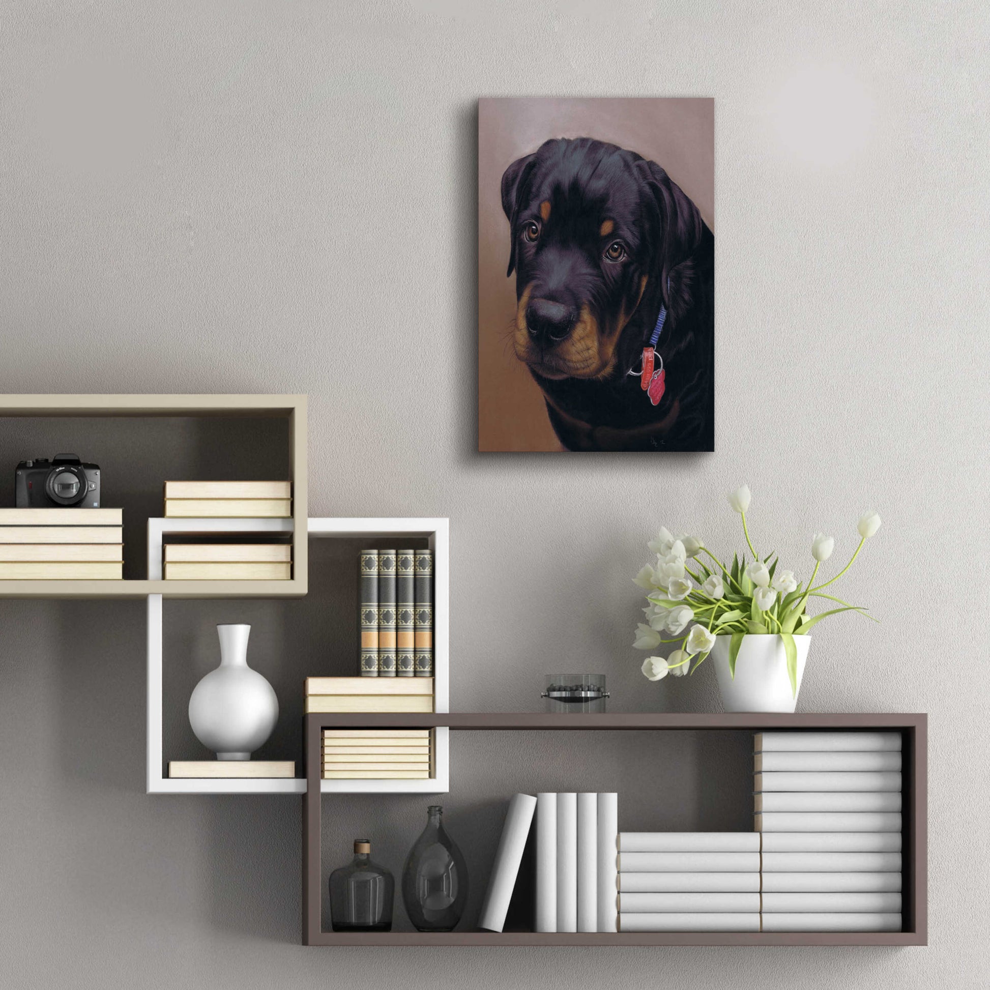 Epic Art 'Rottweiler Solo' by Karie-Ann Cooper, Acrylic Glass Wall Art,16x24