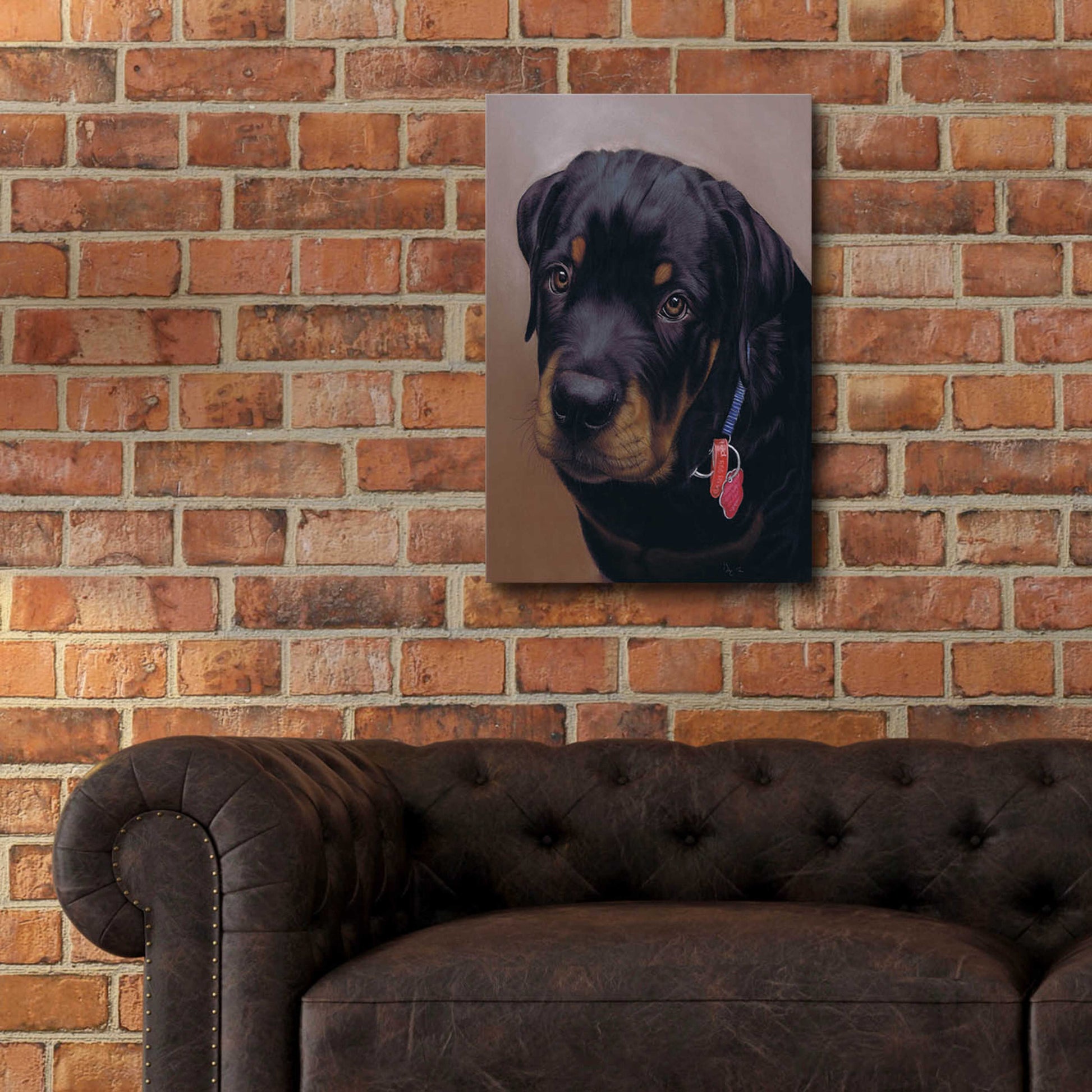 Epic Art 'Rottweiler Solo' by Karie-Ann Cooper, Acrylic Glass Wall Art,16x24