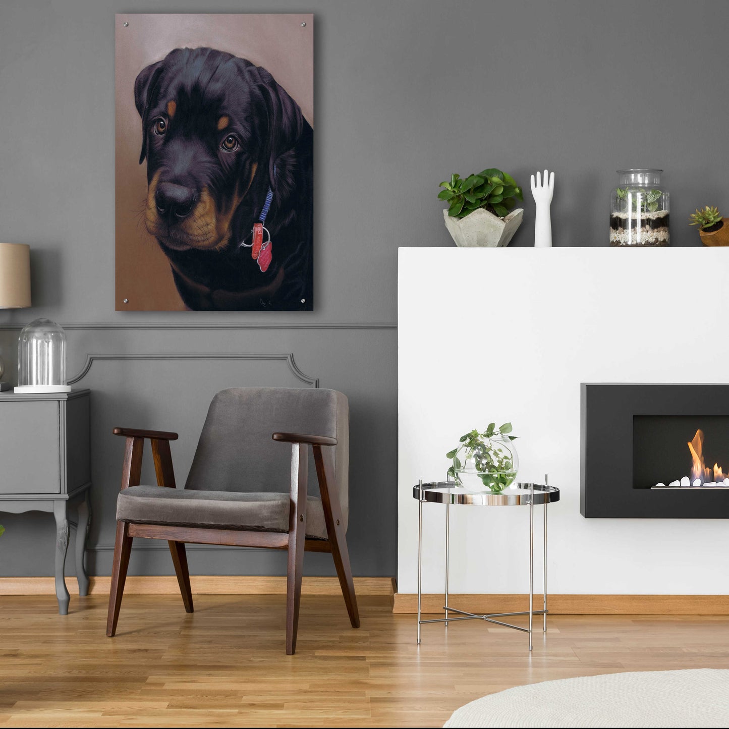 Epic Art 'Rottweiler Solo' by Karie-Ann Cooper, Acrylic Glass Wall Art,24x36