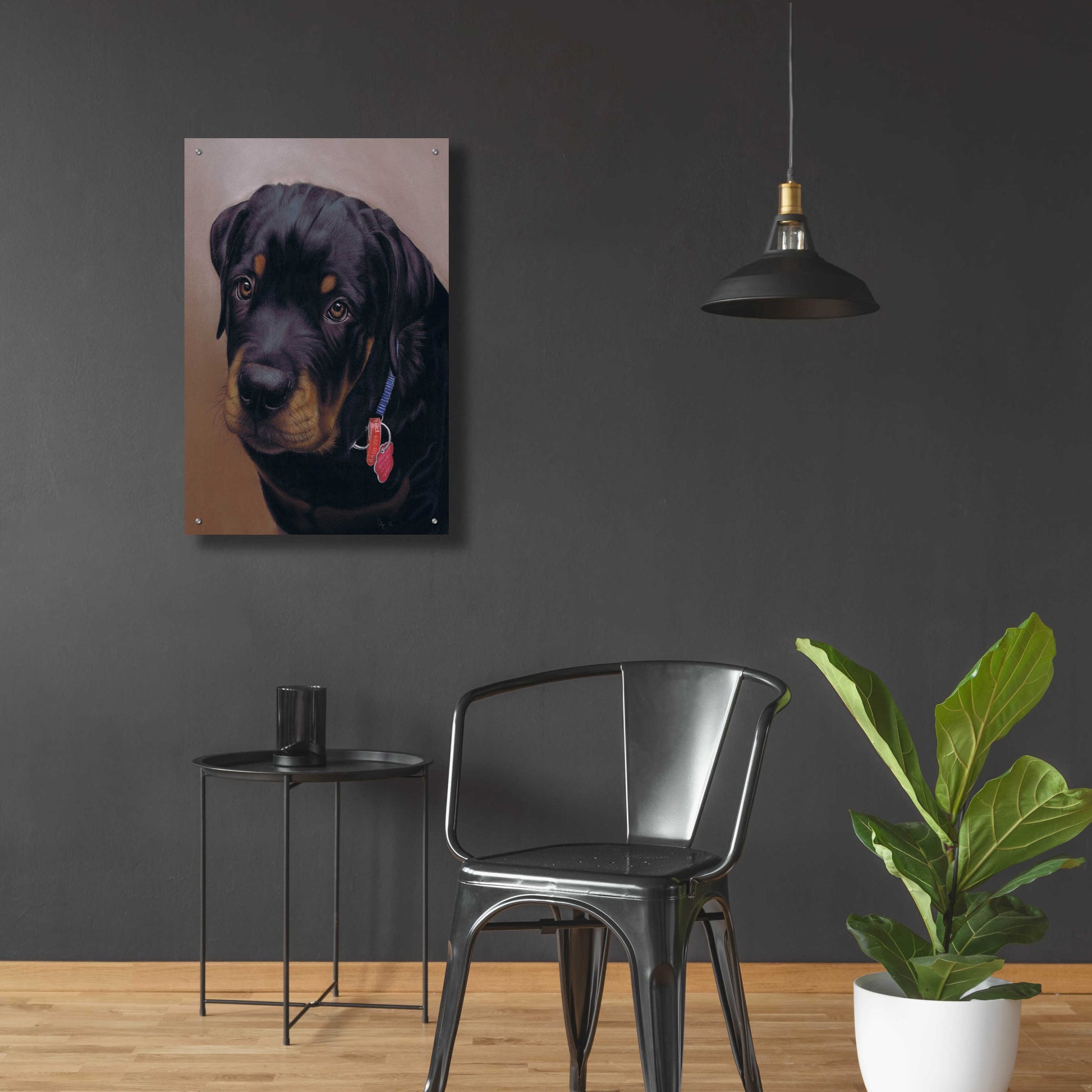 Epic Art 'Rottweiler Solo' by Karie-Ann Cooper, Acrylic Glass Wall Art,24x36