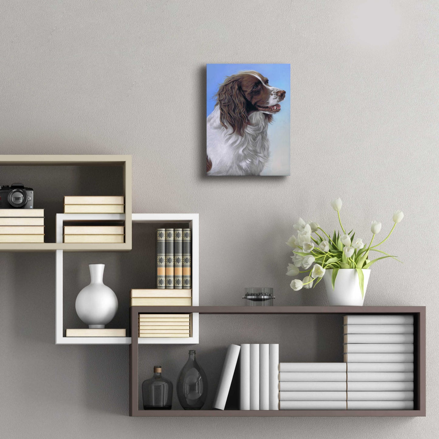 Epic Art 'Springer Spaniel Brodie' by Karie-Ann Cooper, Acrylic Glass Wall Art,12x16