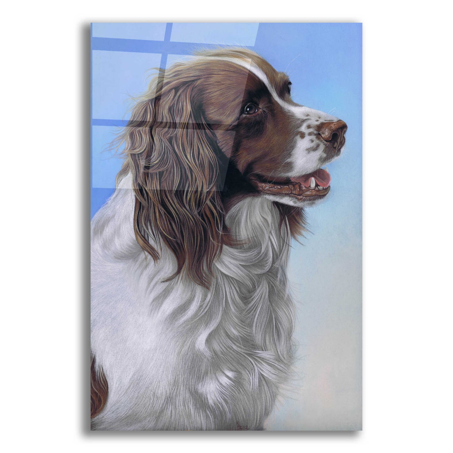 Epic Art 'Springer Spaniel Brodie' by Karie-Ann Cooper, Acrylic Glass Wall Art,12x16