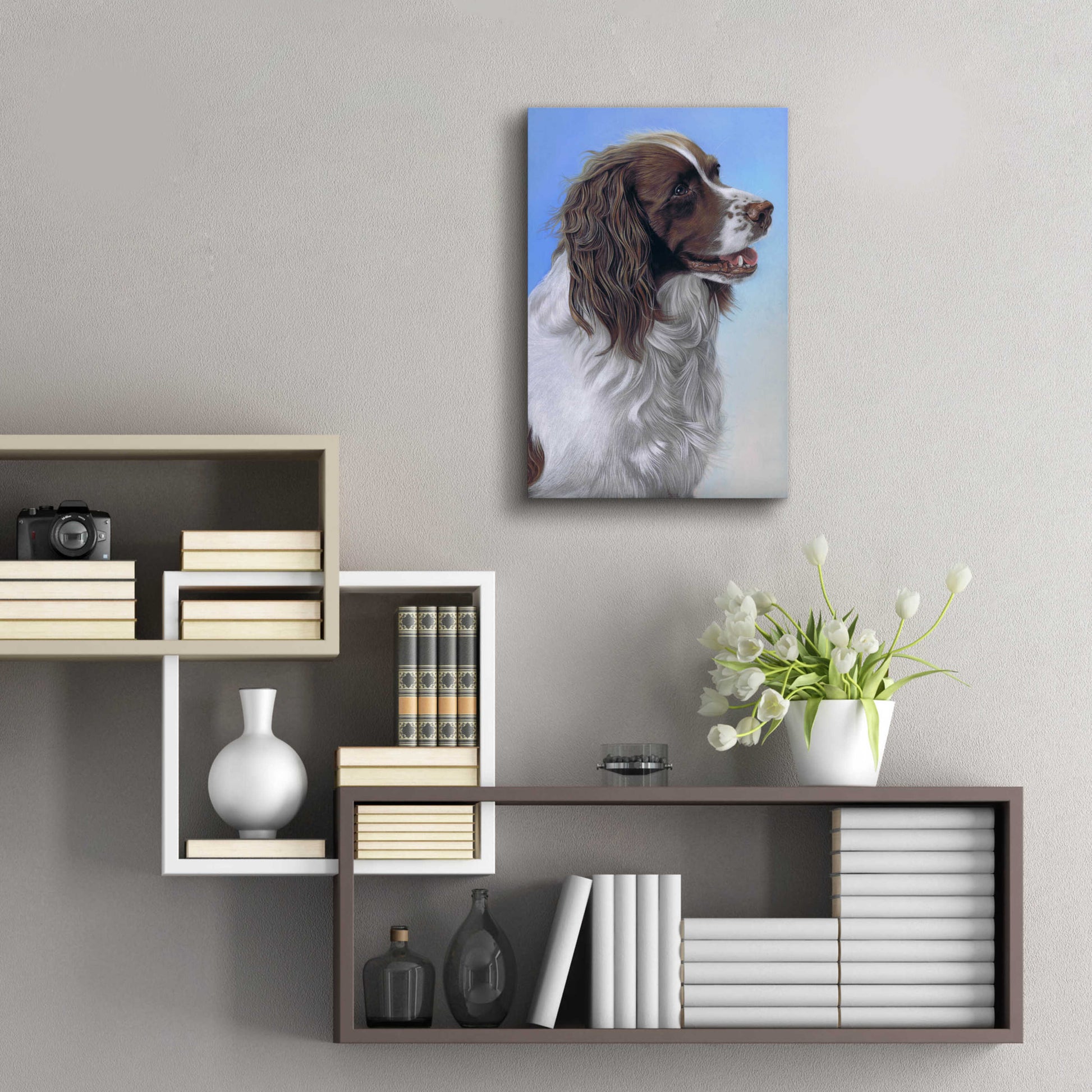 Epic Art 'Springer Spaniel Brodie' by Karie-Ann Cooper, Acrylic Glass Wall Art,16x24