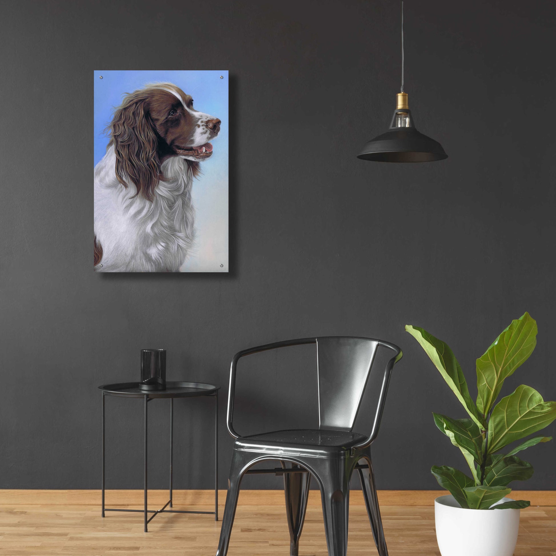 Epic Art 'Springer Spaniel Brodie' by Karie-Ann Cooper, Acrylic Glass Wall Art,24x36