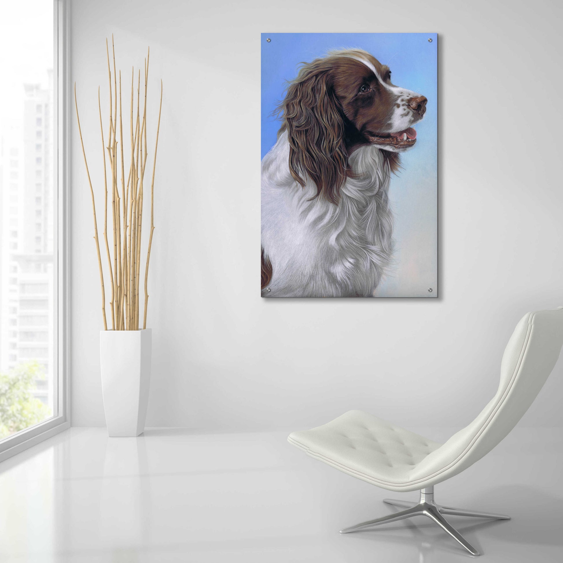 Epic Art 'Springer Spaniel Brodie' by Karie-Ann Cooper, Acrylic Glass Wall Art,24x36