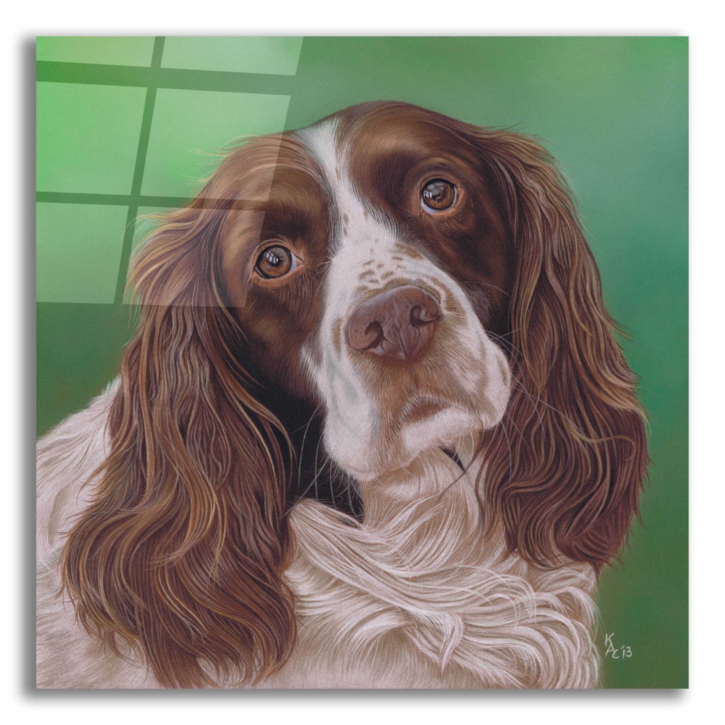 Epic Art 'Springer Spaniel Fleck' by Karie-Ann Cooper, Acrylic Glass Wall Art,12x12