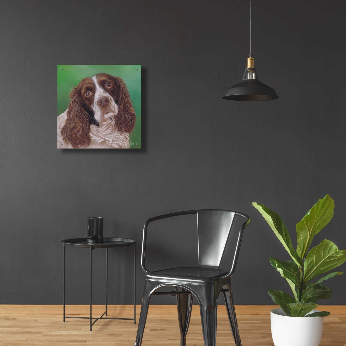 Epic Art 'Springer Spaniel Fleck' by Karie-Ann Cooper, Acrylic Glass Wall Art,24x24