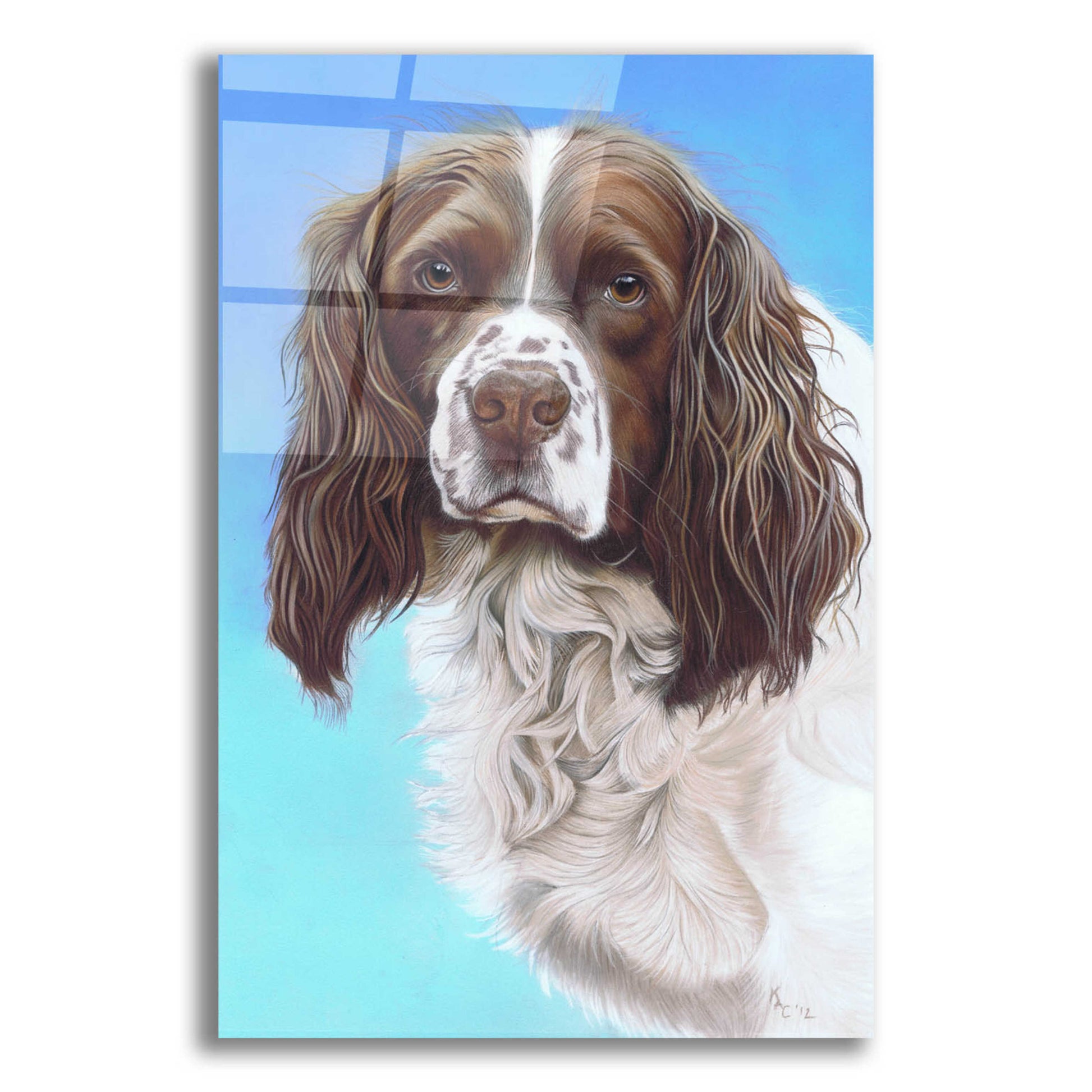 Epic Art 'Sprinter Spaniel Zac' by Karie-Ann Cooper, Acrylic Glass Wall Art,16x24