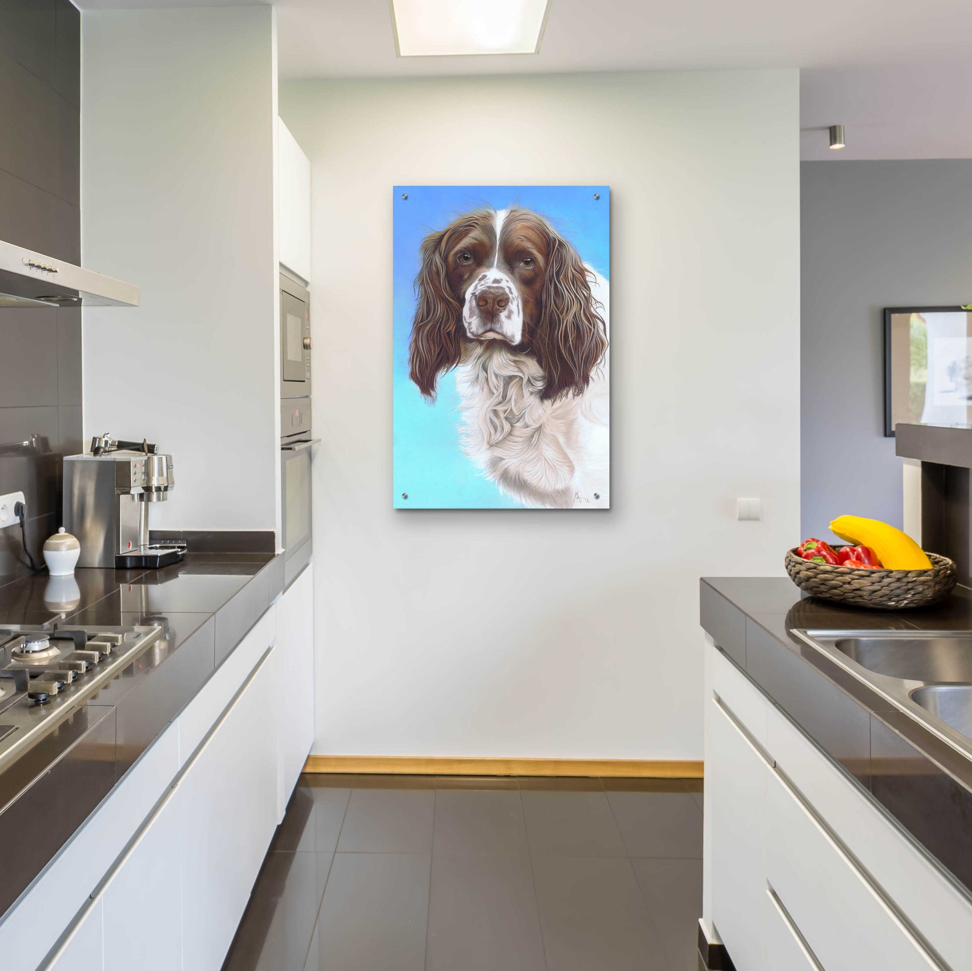 Epic Art 'Sprinter Spaniel Zac' by Karie-Ann Cooper, Acrylic Glass Wall Art,24x36