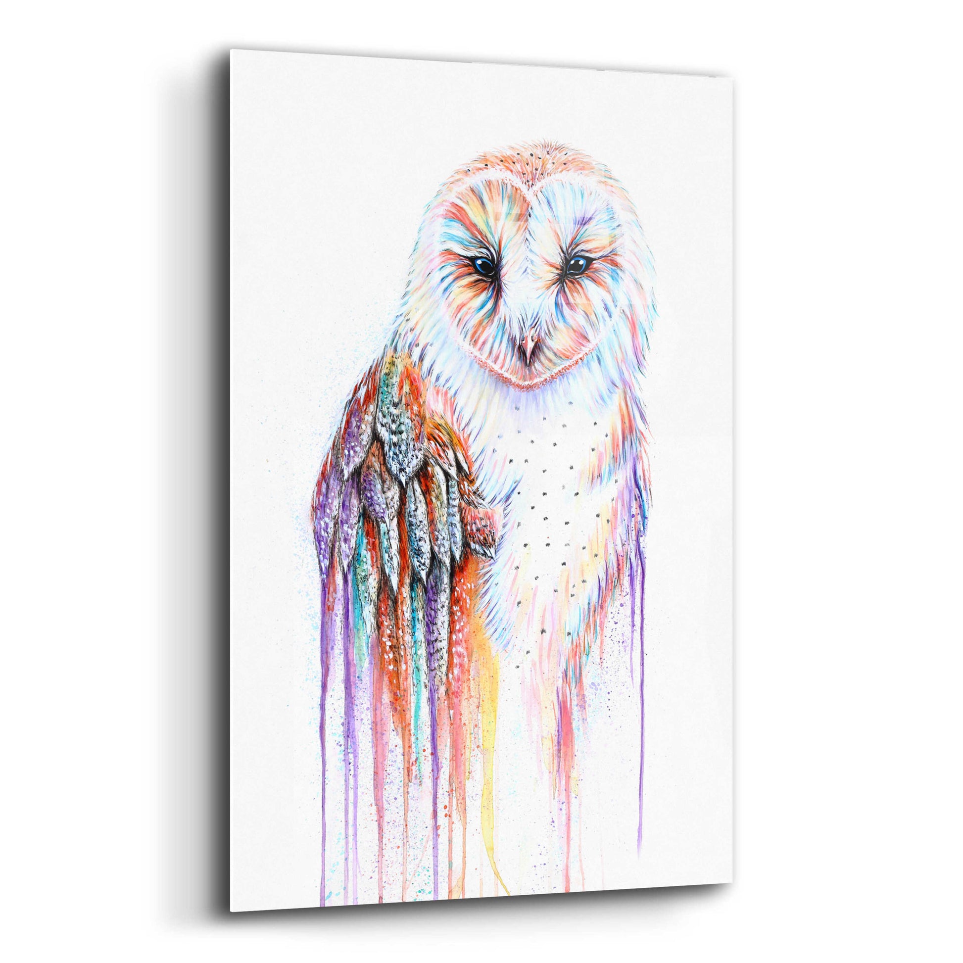 Epic Art 'Barred Rainbow Owl' by Michelle Faber, Acrylic Glass Wall Art,12x16