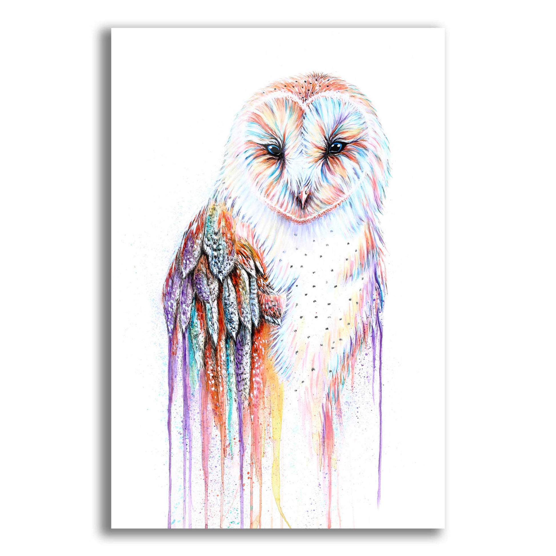 Epic Art 'Barred Rainbow Owl' by Michelle Faber, Acrylic Glass Wall Art,12x16