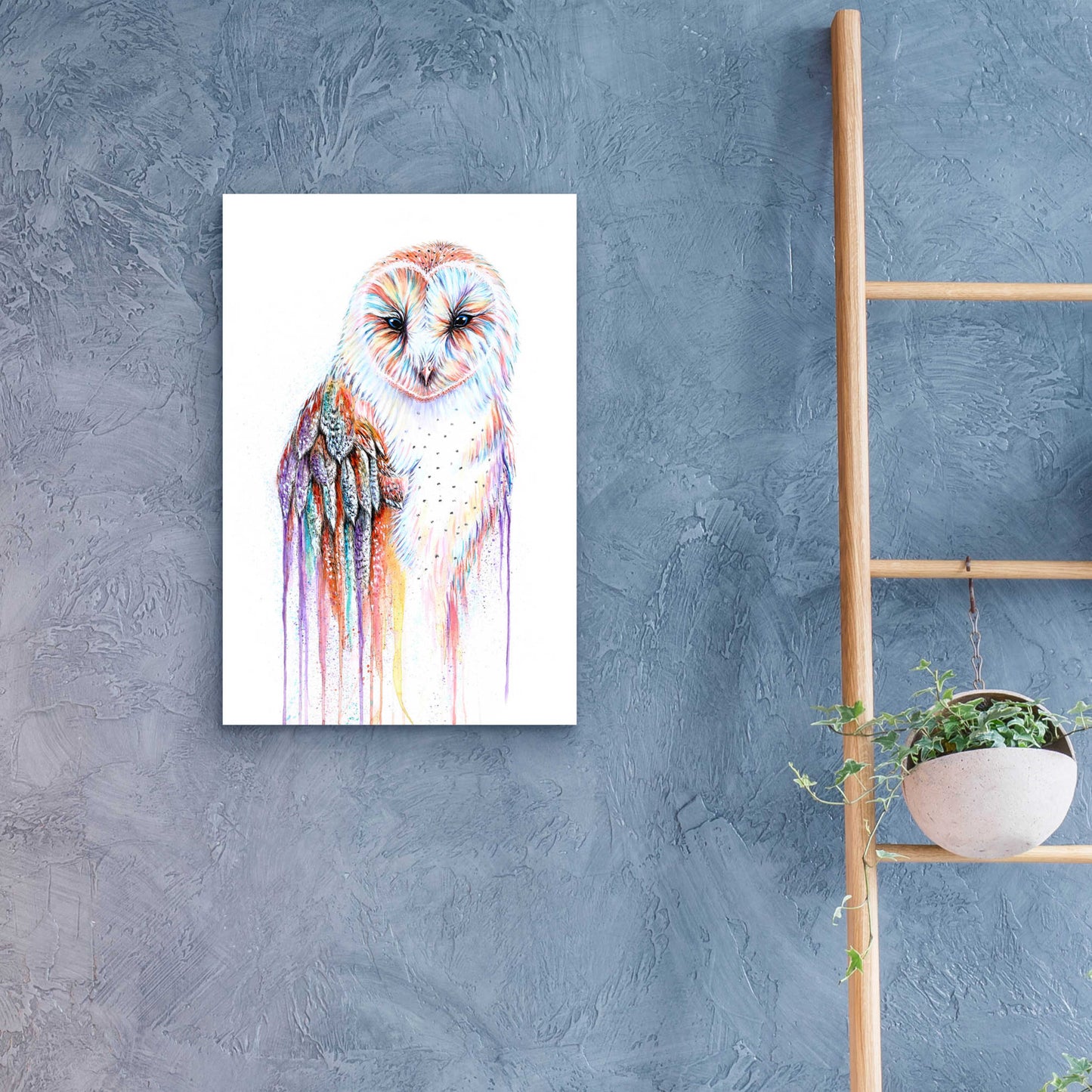 Epic Art 'Barred Rainbow Owl' by Michelle Faber, Acrylic Glass Wall Art,16x24