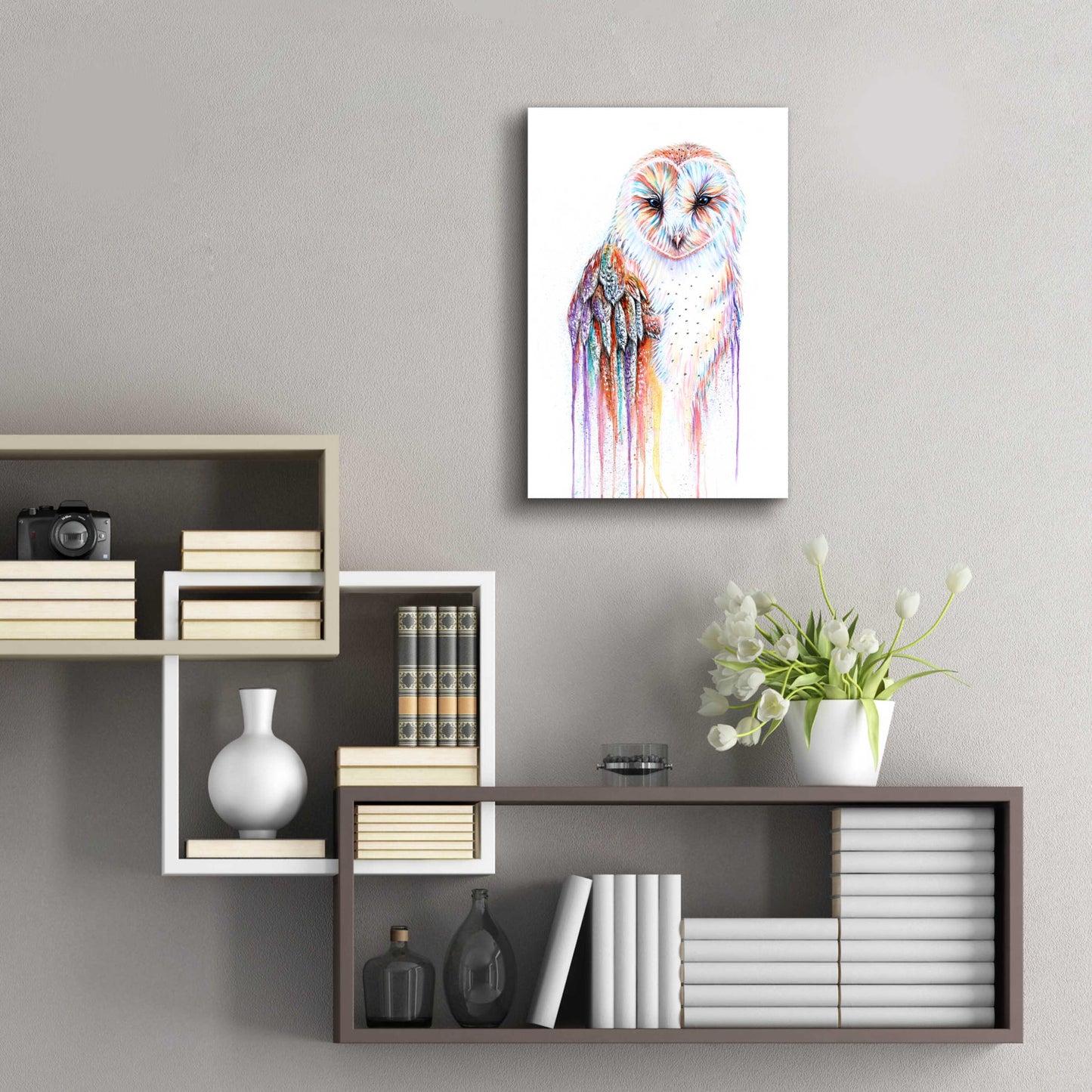 Epic Art 'Barred Rainbow Owl' by Michelle Faber, Acrylic Glass Wall Art,16x24