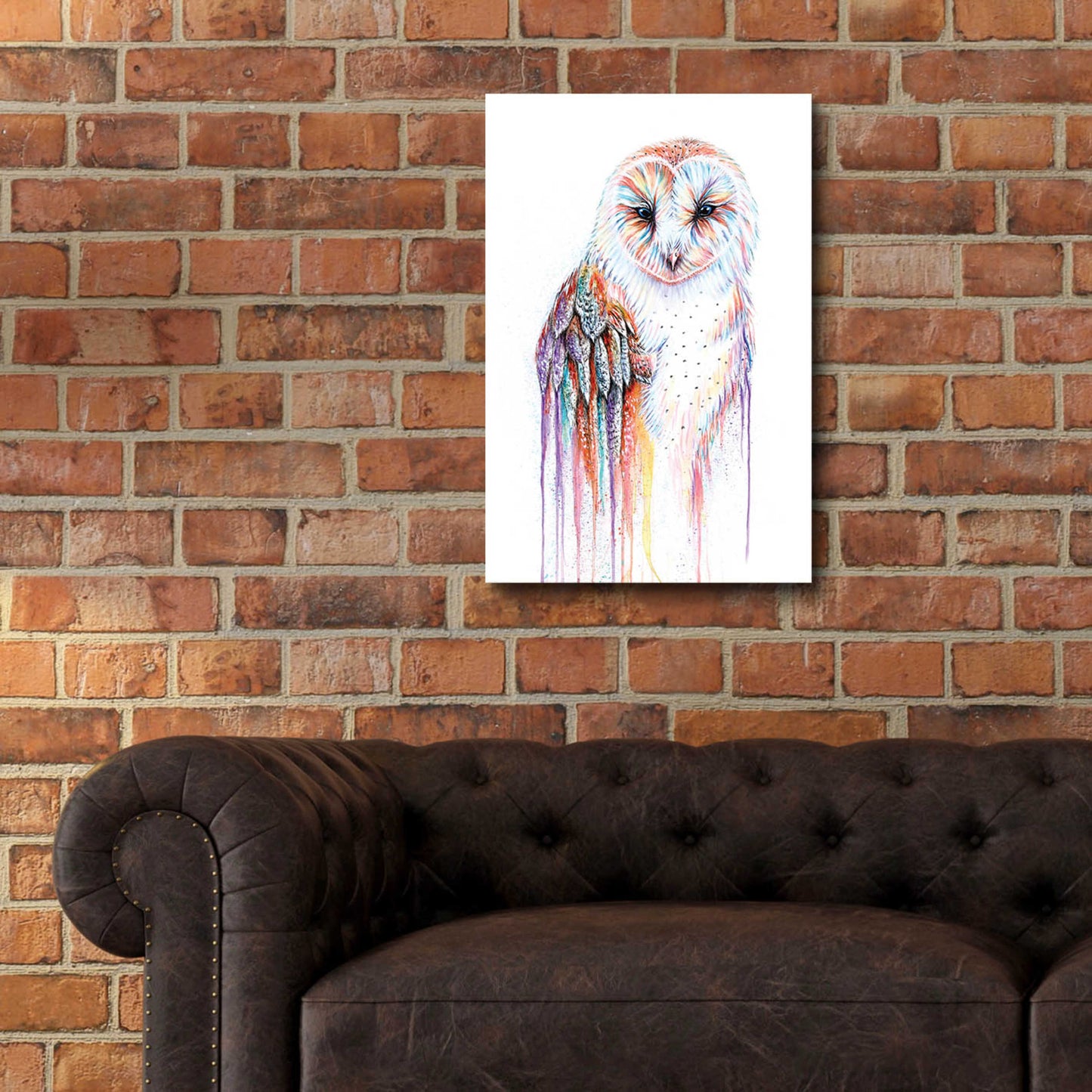 Epic Art 'Barred Rainbow Owl' by Michelle Faber, Acrylic Glass Wall Art,16x24