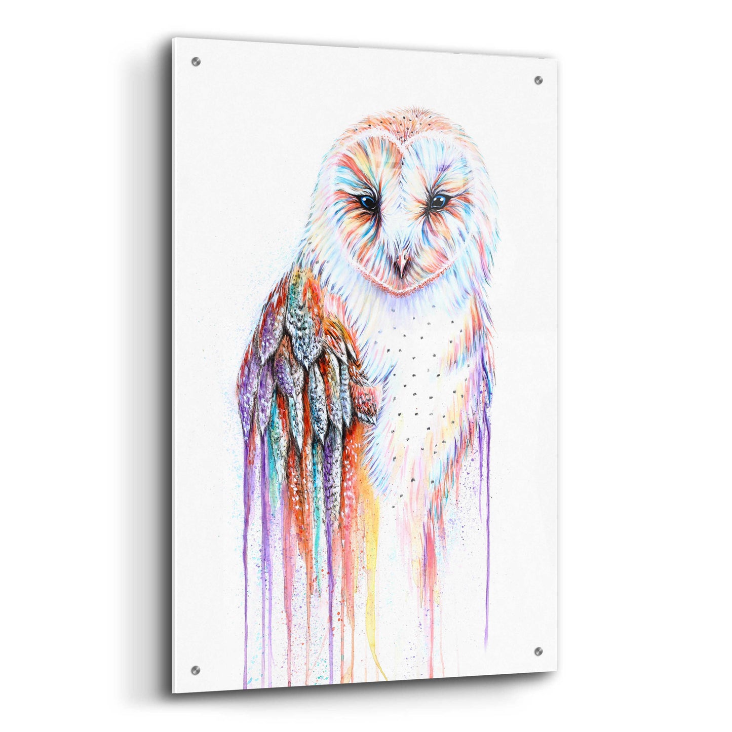 Epic Art 'Barred Rainbow Owl' by Michelle Faber, Acrylic Glass Wall Art,24x36