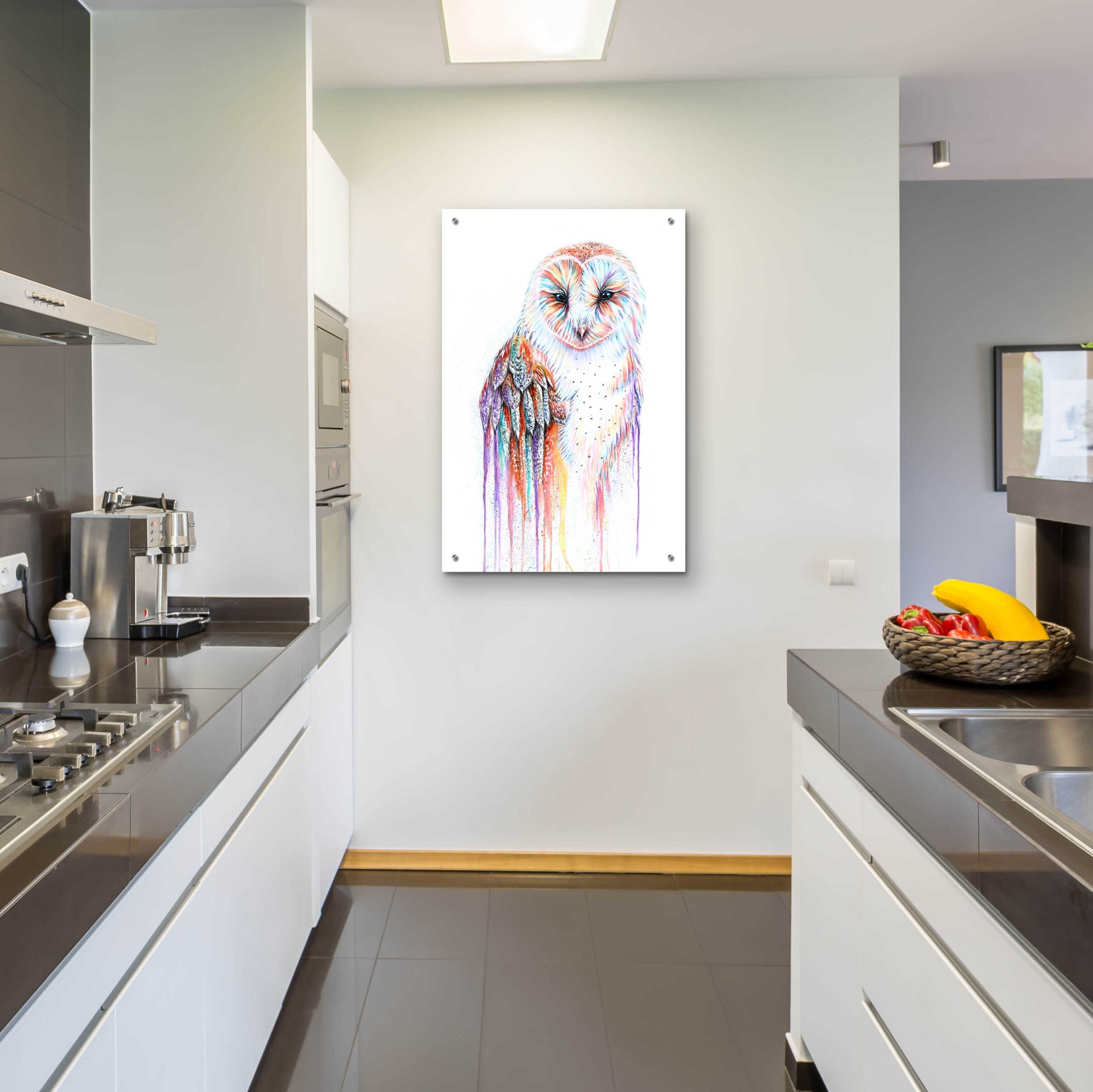 Epic Art 'Barred Rainbow Owl' by Michelle Faber, Acrylic Glass Wall Art,24x36