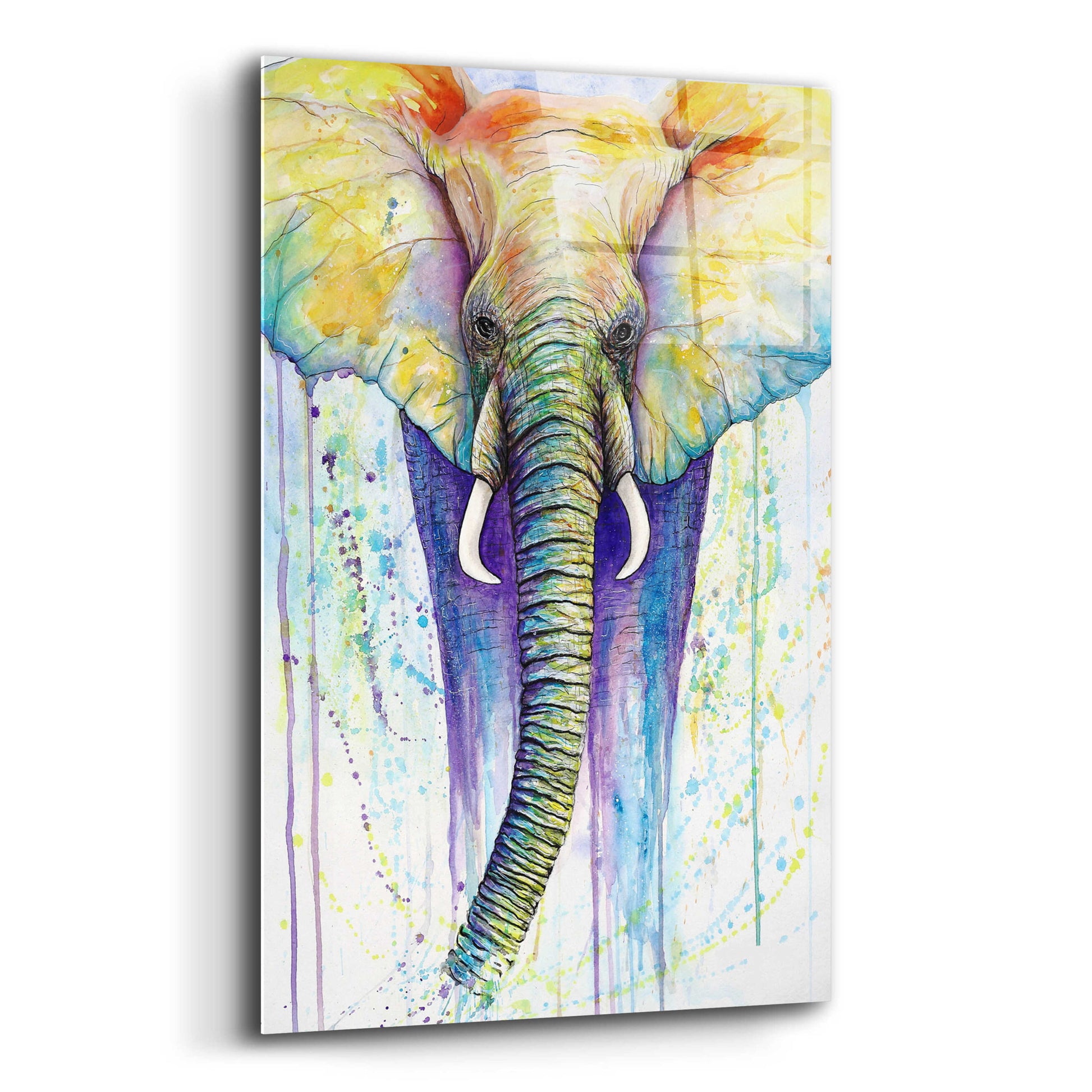 Epic Art 'Elephant Colors' by Michelle Faber, Acrylic Glass Wall Art,12x16