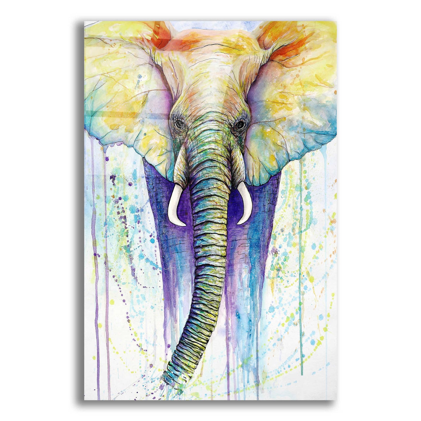 Epic Art 'Elephant Colors' by Michelle Faber, Acrylic Glass Wall Art,12x16