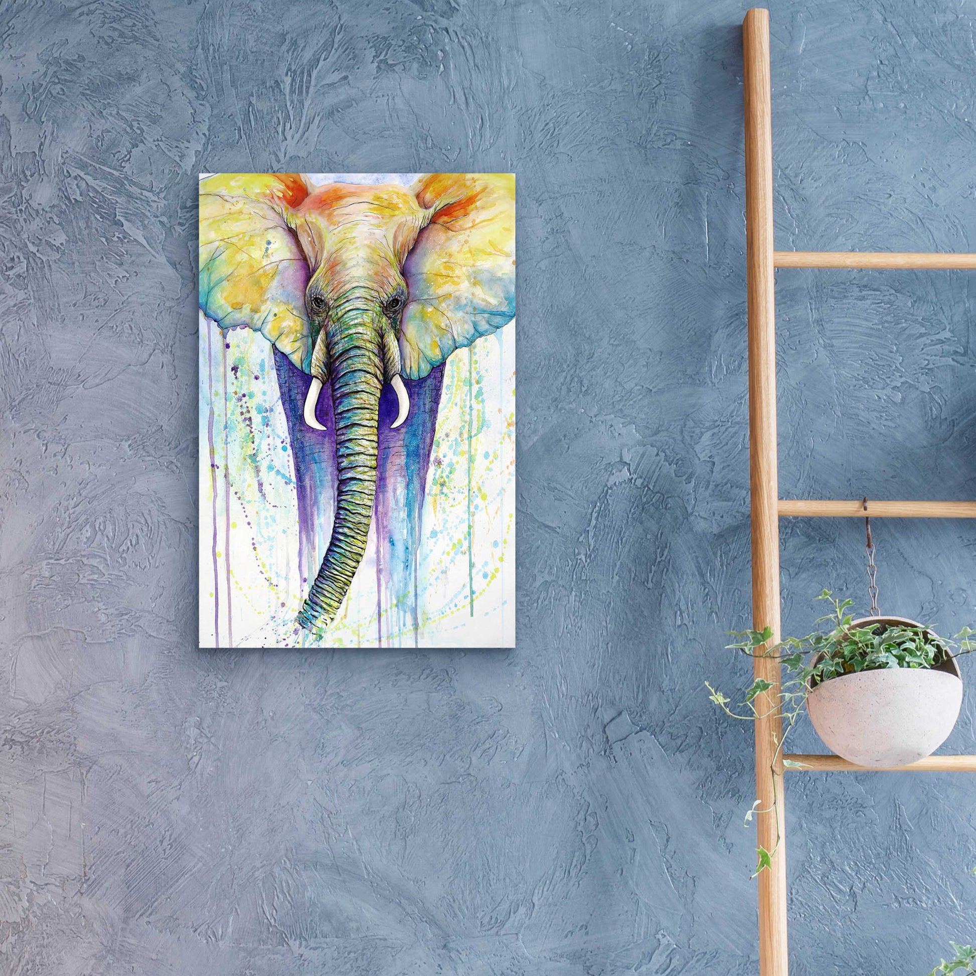 Epic Art 'Elephant Colors' by Michelle Faber, Acrylic Glass Wall Art,16x24