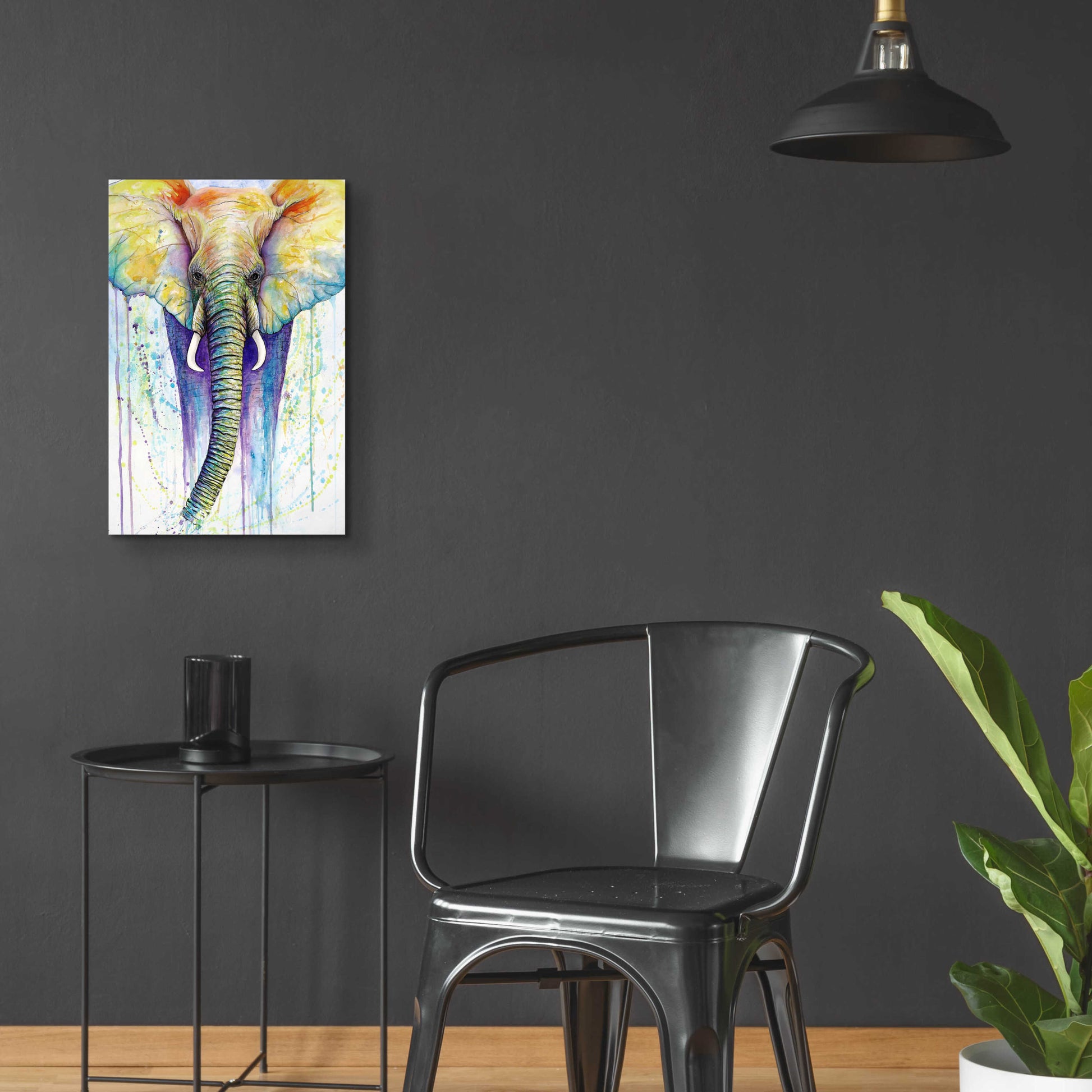 Epic Art 'Elephant Colors' by Michelle Faber, Acrylic Glass Wall Art,16x24