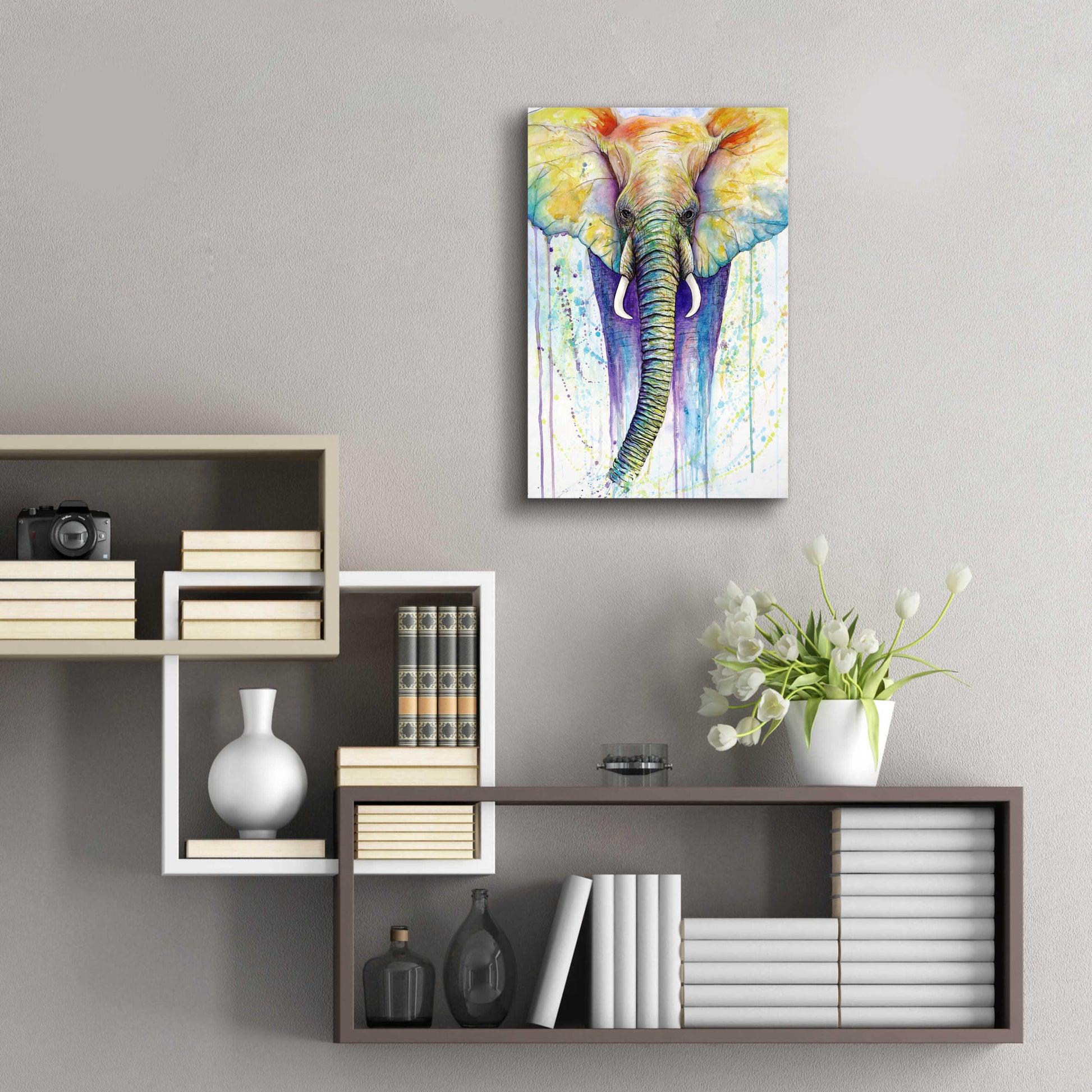 Epic Art 'Elephant Colors' by Michelle Faber, Acrylic Glass Wall Art,16x24