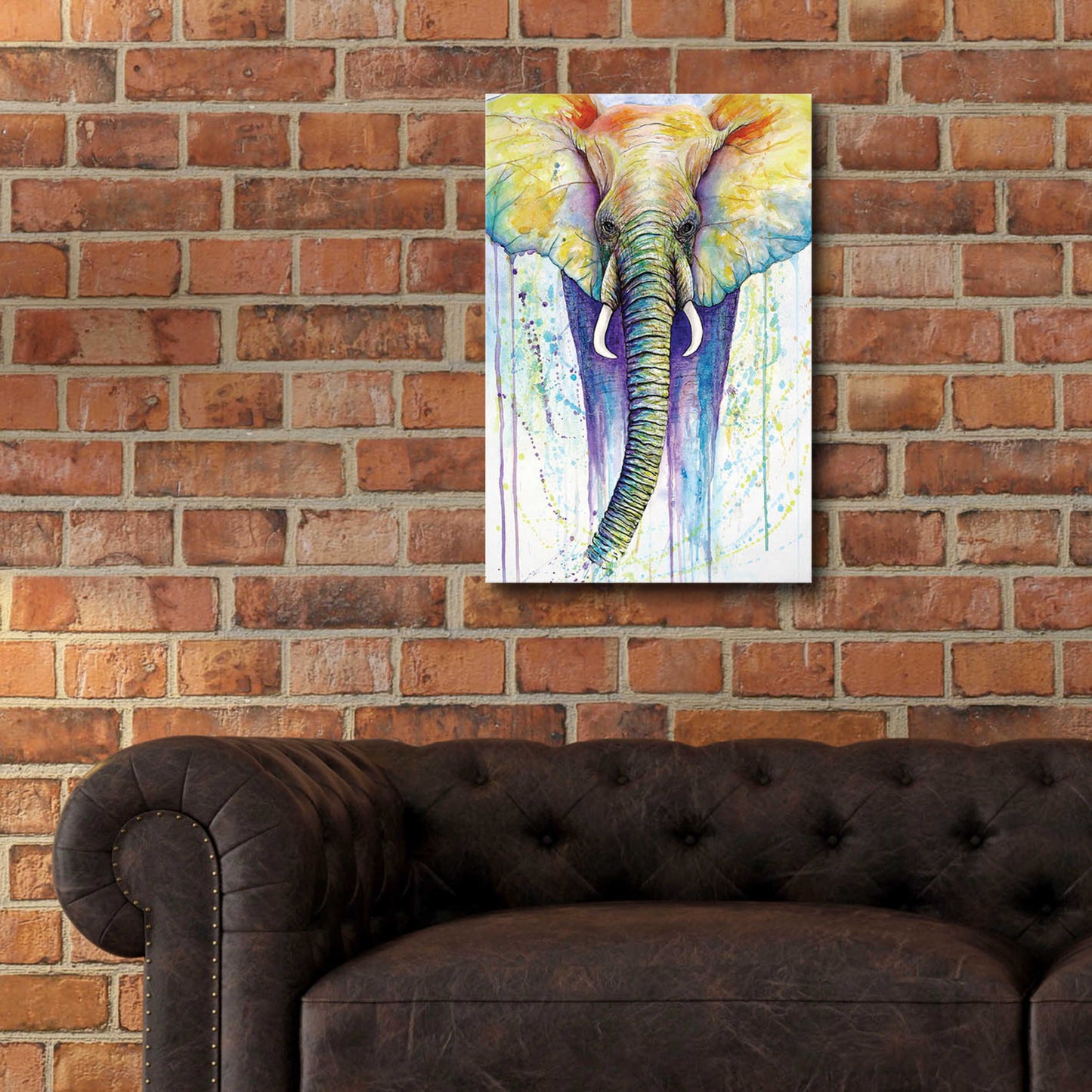 Epic Art 'Elephant Colors' by Michelle Faber, Acrylic Glass Wall Art,16x24