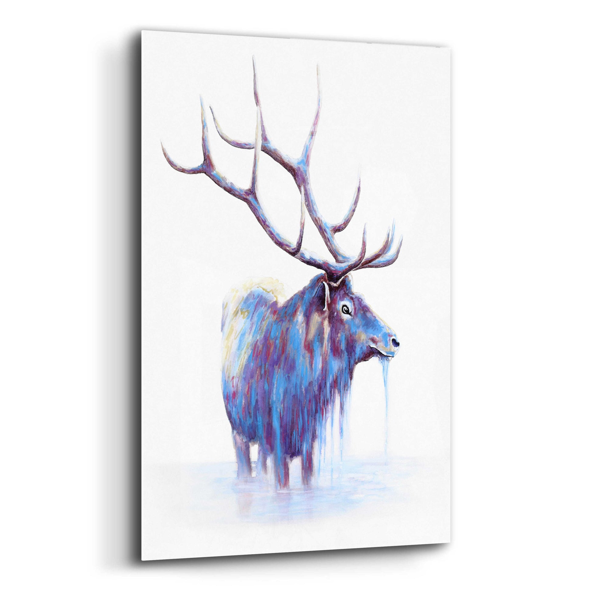 Epic Art 'Elk in Water' by Michelle Faber, Acrylic Glass Wall Art,12x16