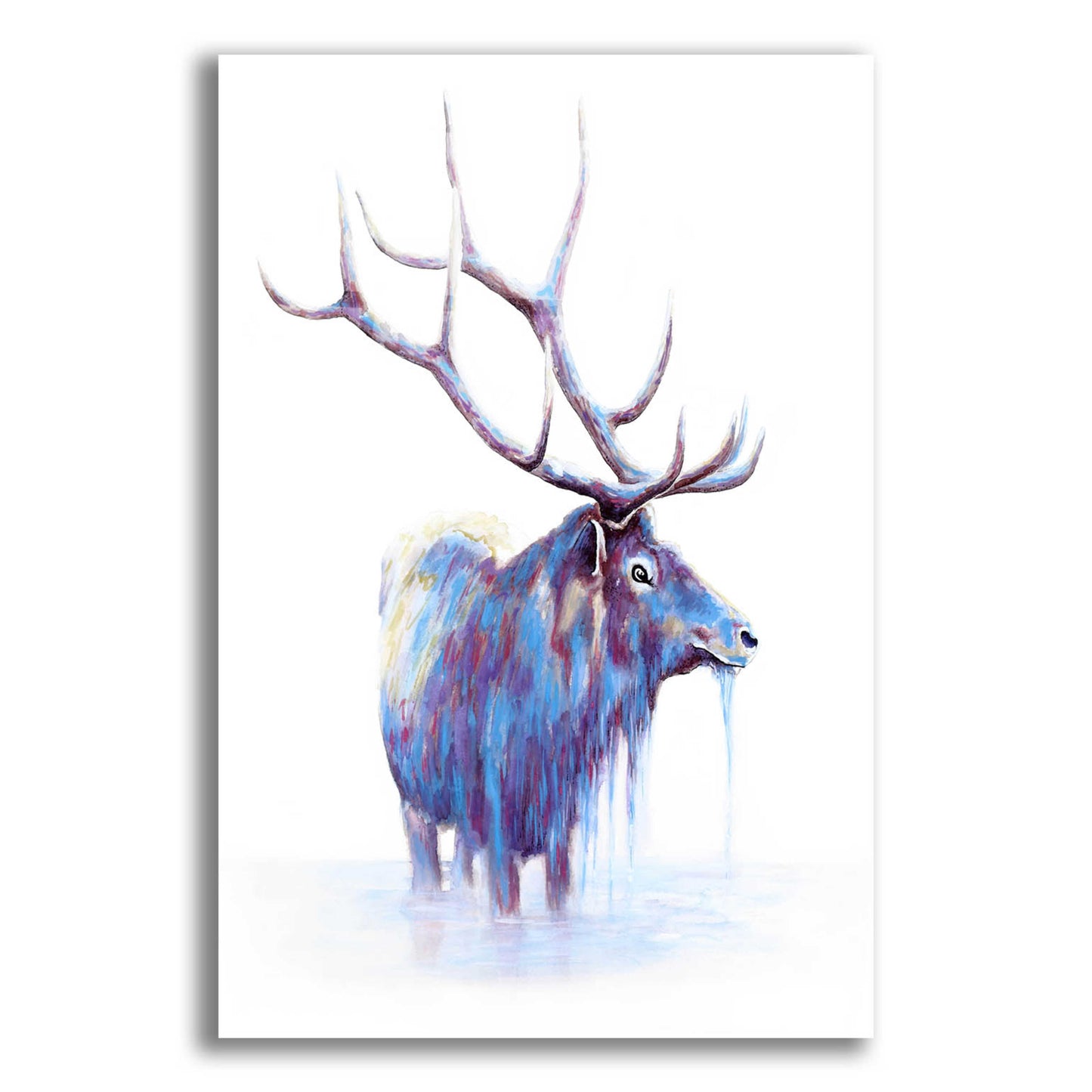 Epic Art 'Elk in Water' by Michelle Faber, Acrylic Glass Wall Art,12x16