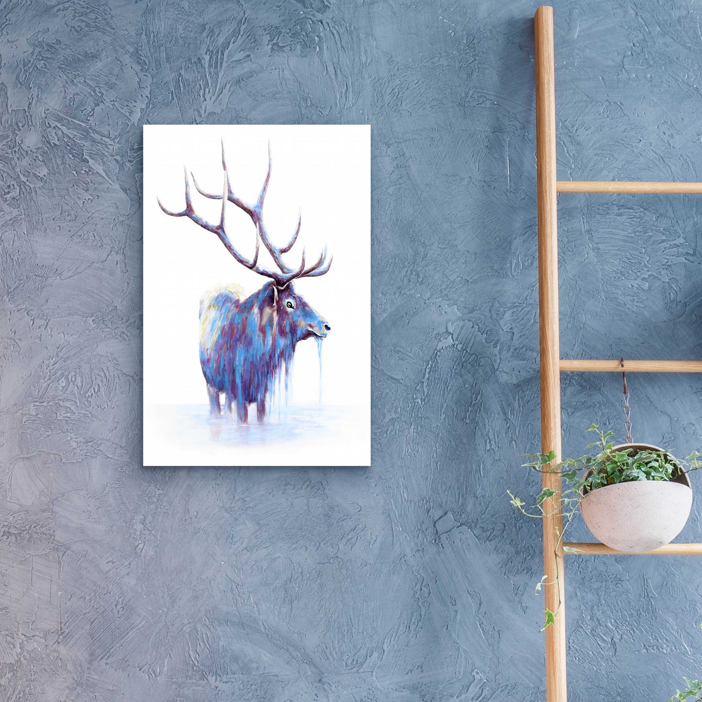 Epic Art 'Elk in Water' by Michelle Faber, Acrylic Glass Wall Art,16x24