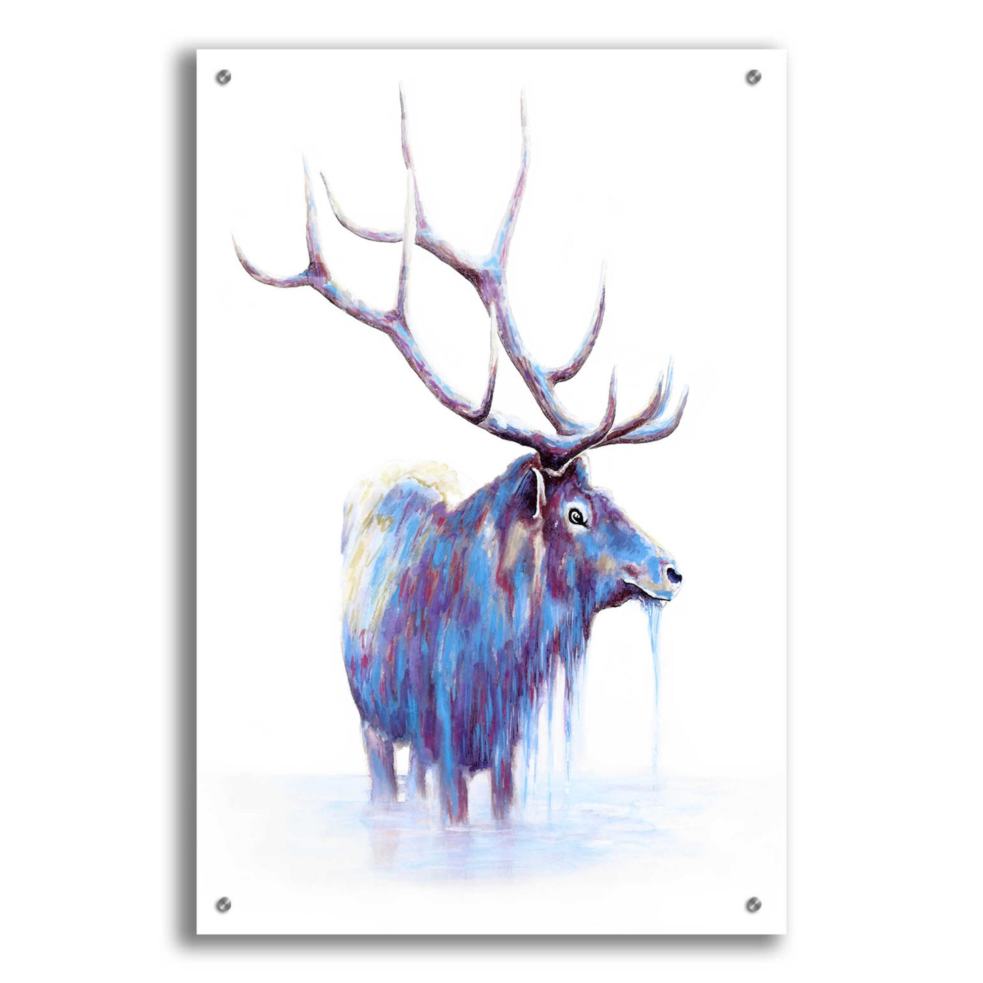 Epic Art 'Elk in Water' by Michelle Faber, Acrylic Glass Wall Art,24x36