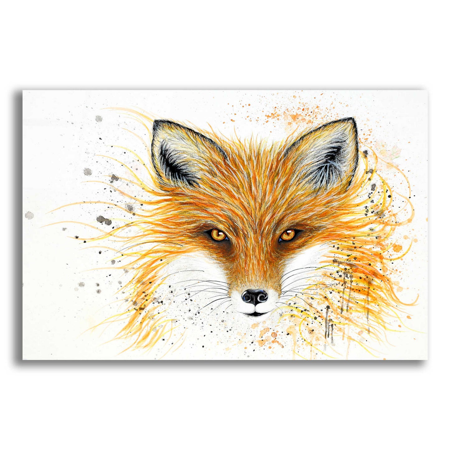 Epic Art 'Fox Fire' by Michelle Faber, Acrylic Glass Wall Art,24x16