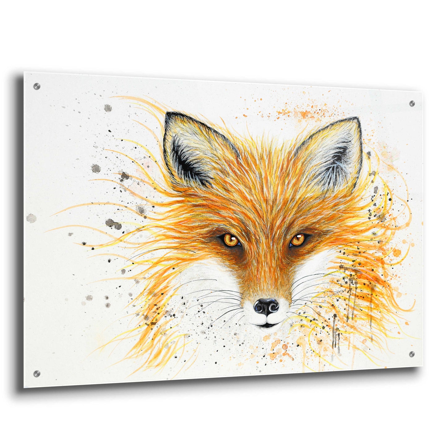 Epic Art 'Fox Fire' by Michelle Faber, Acrylic Glass Wall Art,36x24