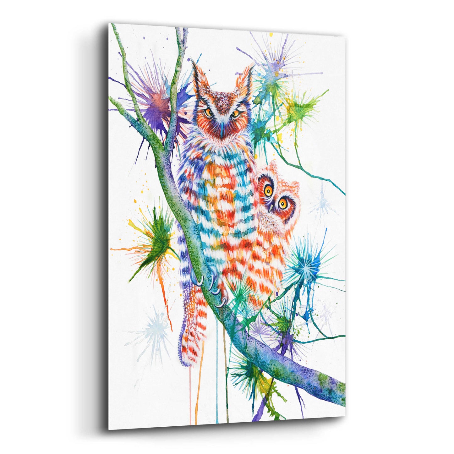 Epic Art 'Momma and Baby Owl' by Michelle Faber, Acrylic Glass Wall Art,12x16