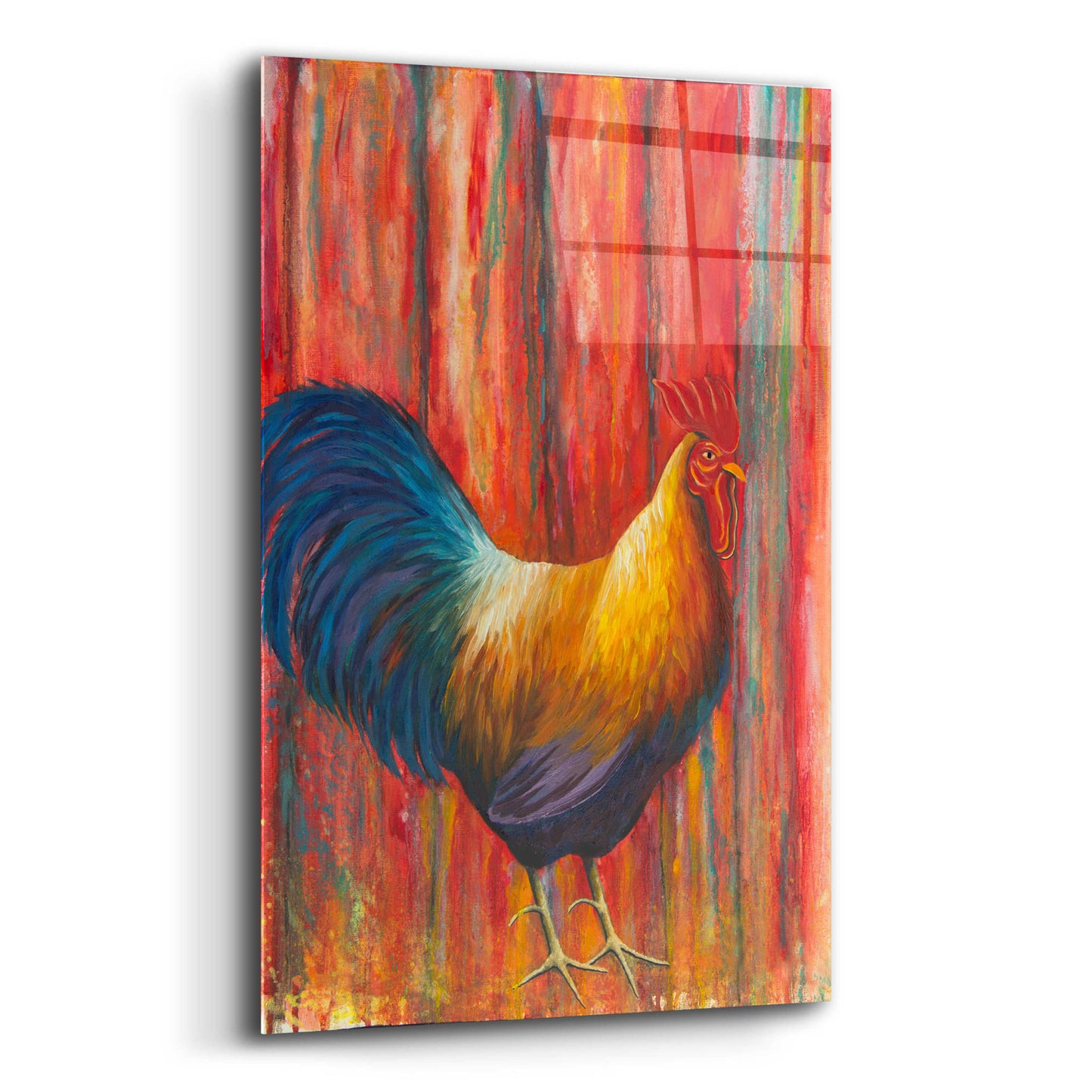 Epic Art 'Mr. Rooster' by Michelle Faber, Acrylic Glass Wall Art,12x16